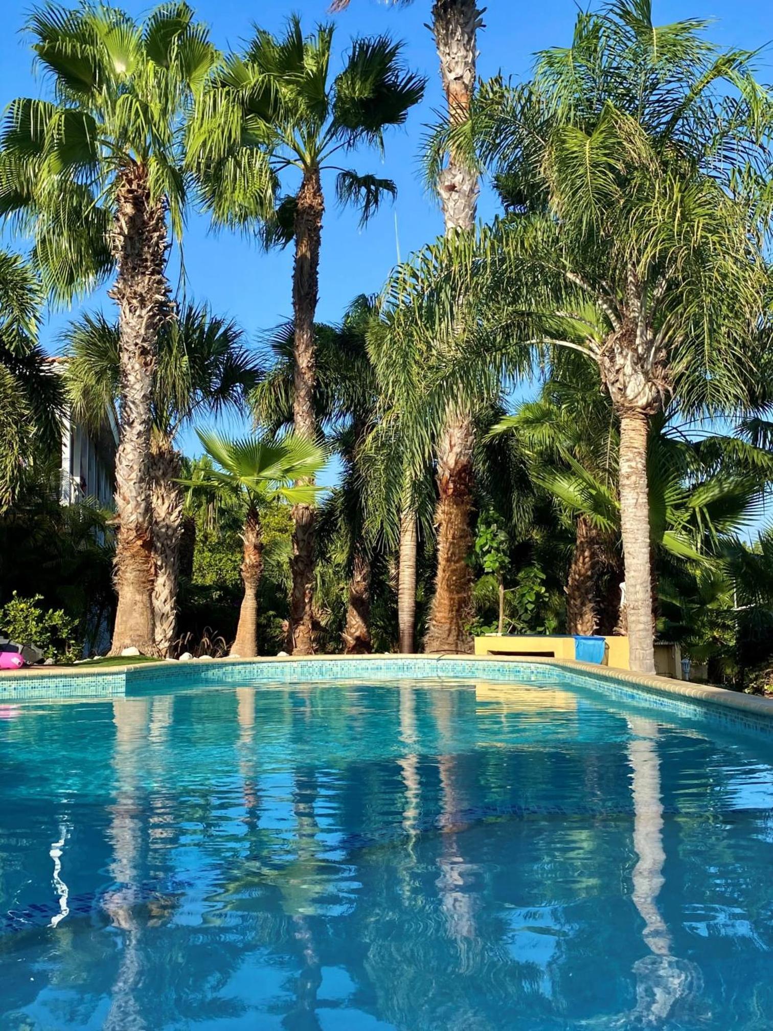 Abondante Paradise