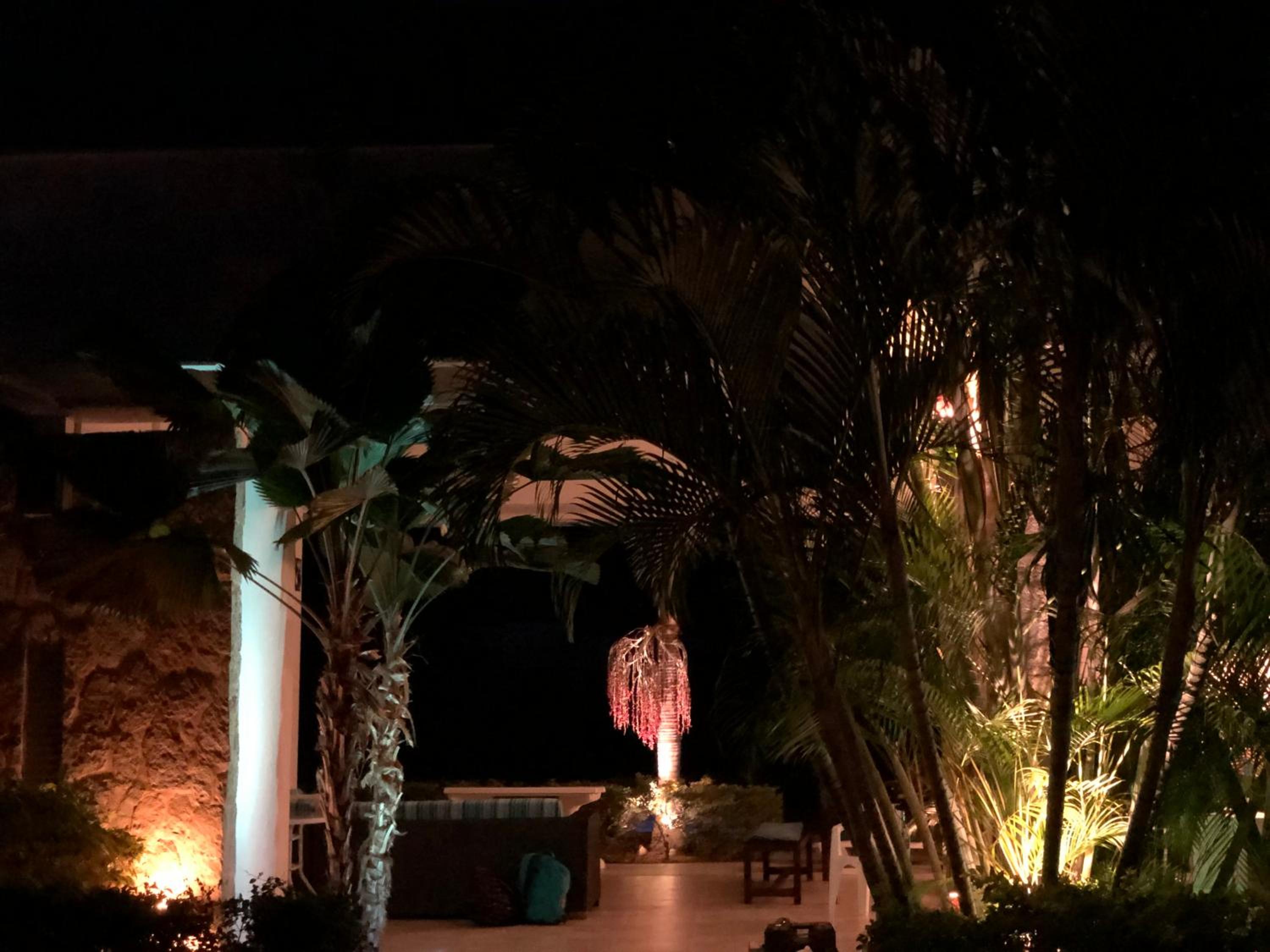 Casa Tótem inmersión inolvidable en la naturaleza
