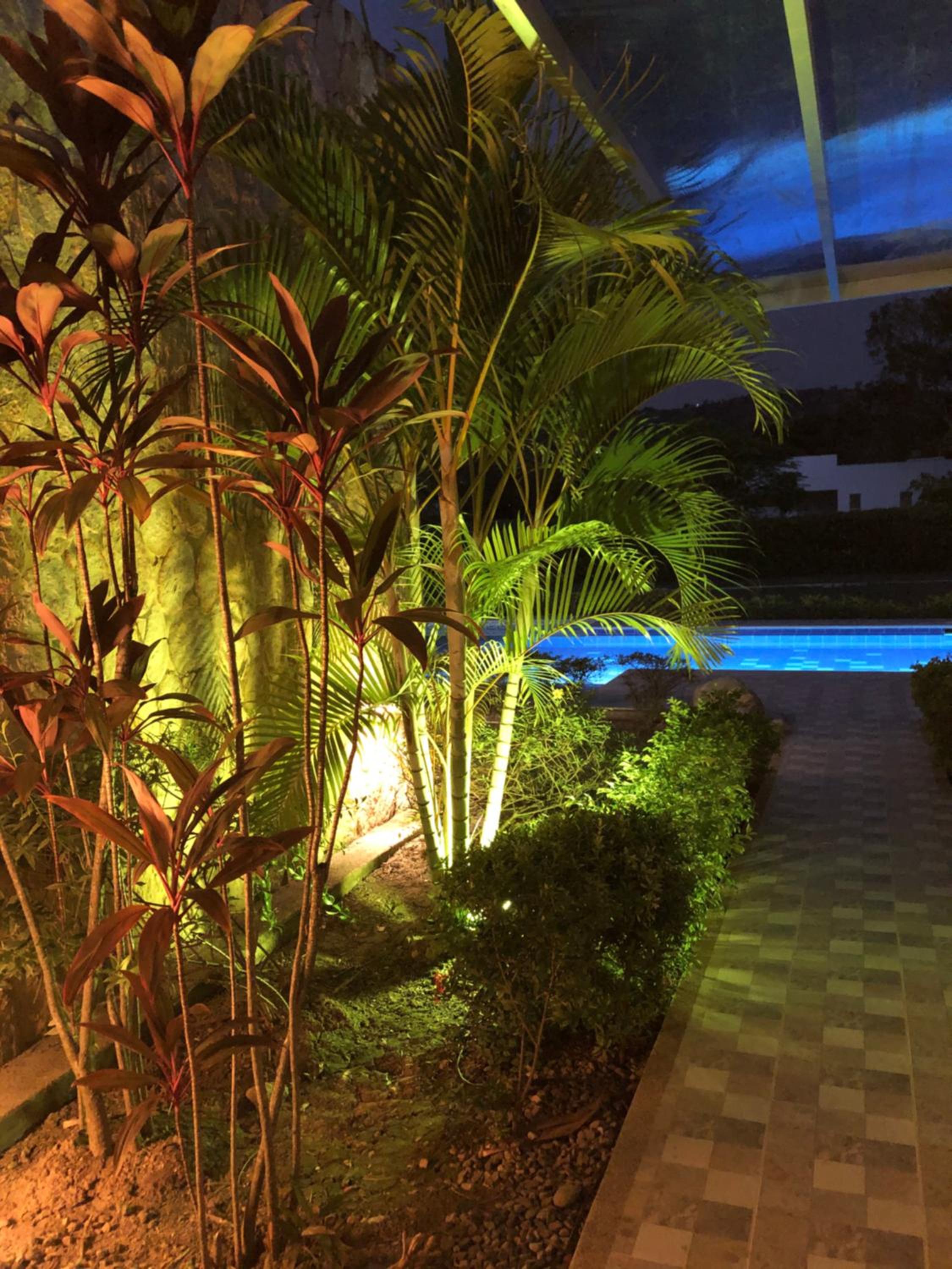 Casa Tótem inmersión inolvidable en la naturaleza