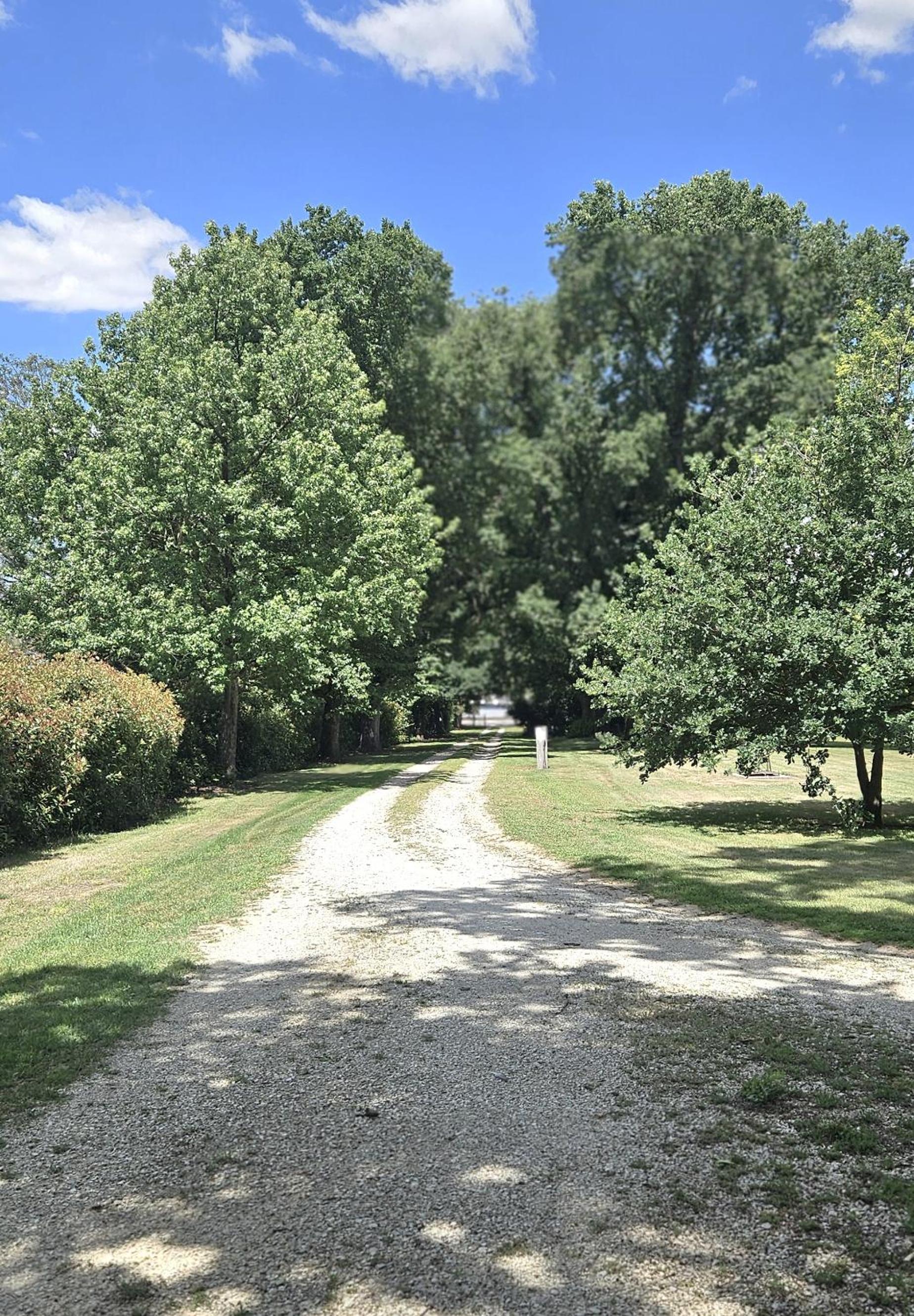 The Avenue Anahdale - Hidden 2.7 Acre Estate in town