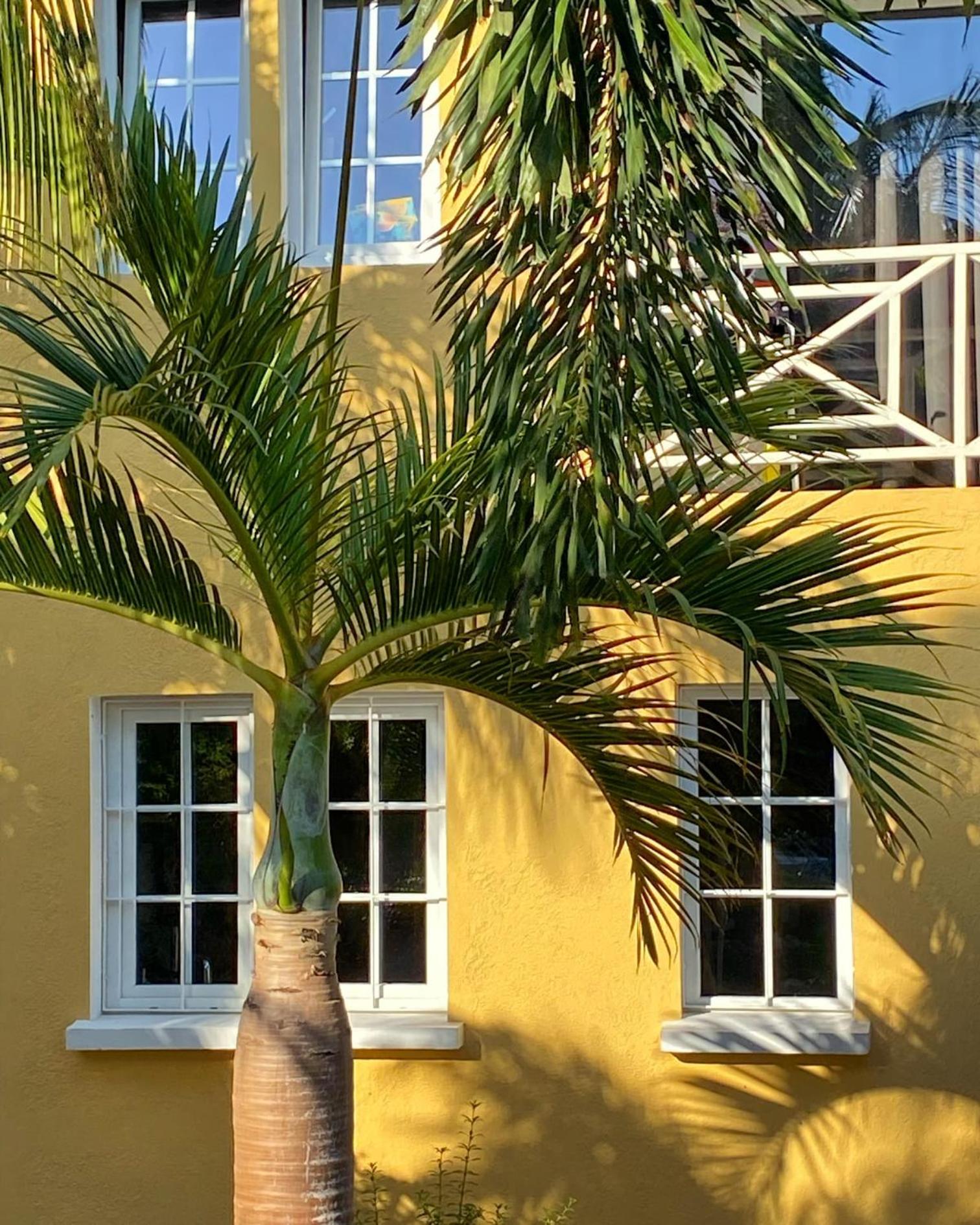 Abondante Paradise