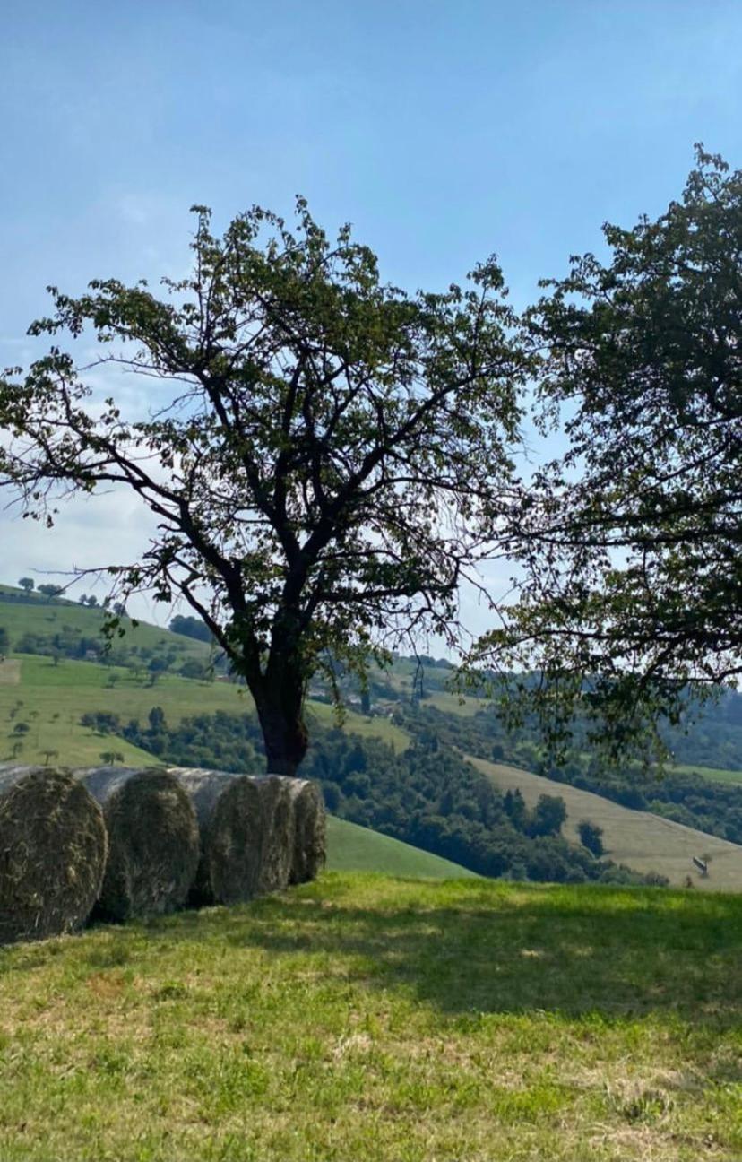 Malga San Giorgio 6