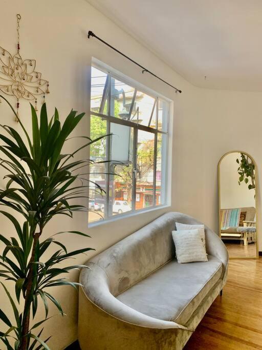 Cozy & relaxing room in the heart of Condesa. photo 3