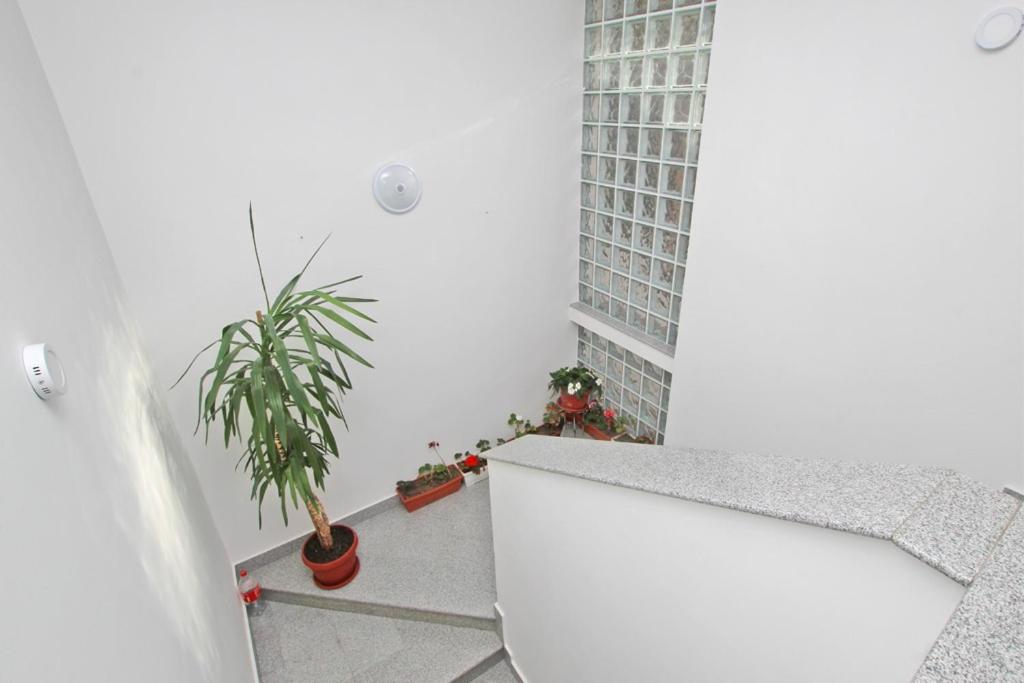 Imas APARTMENT