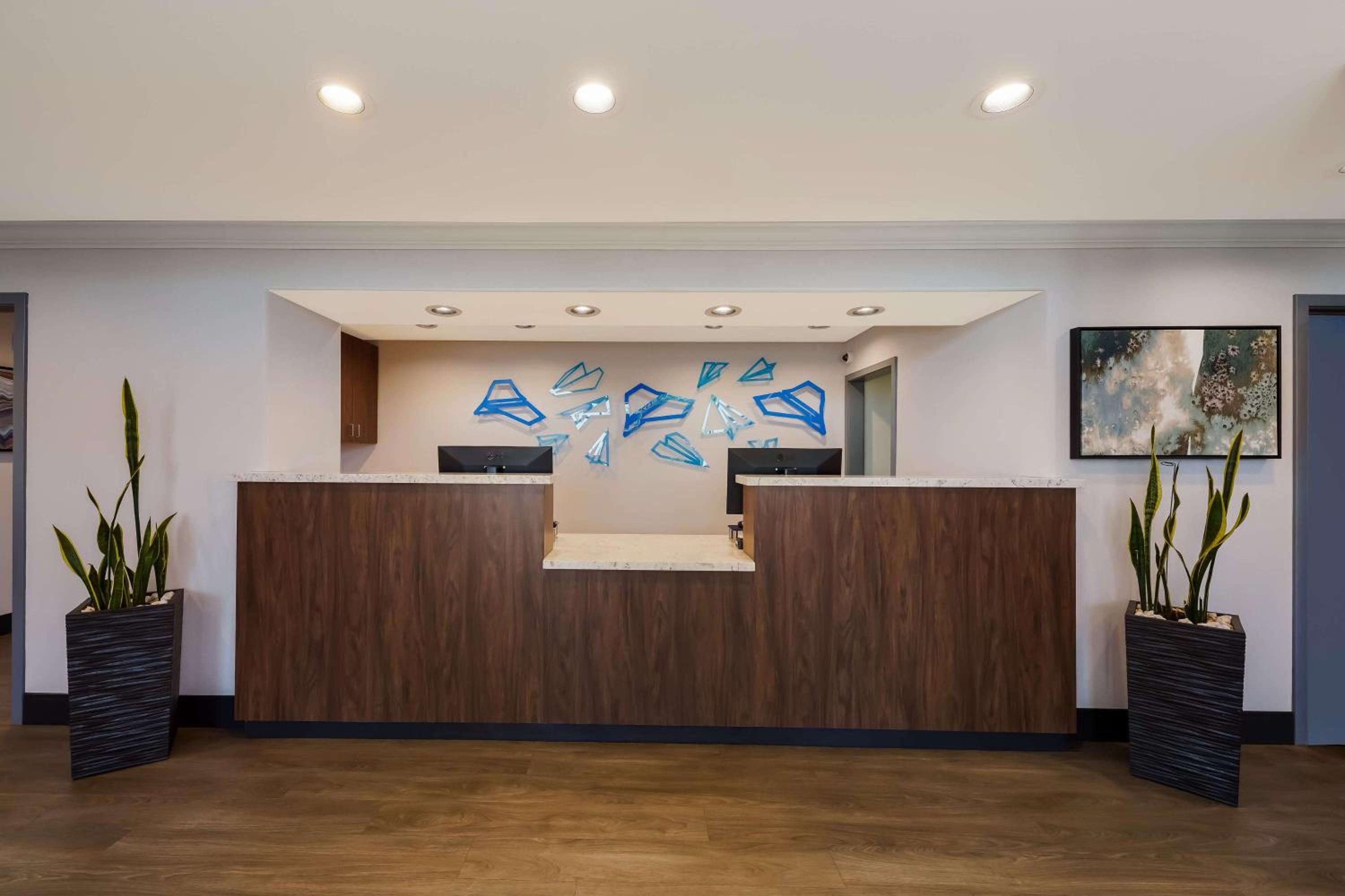 recepcion & lobby