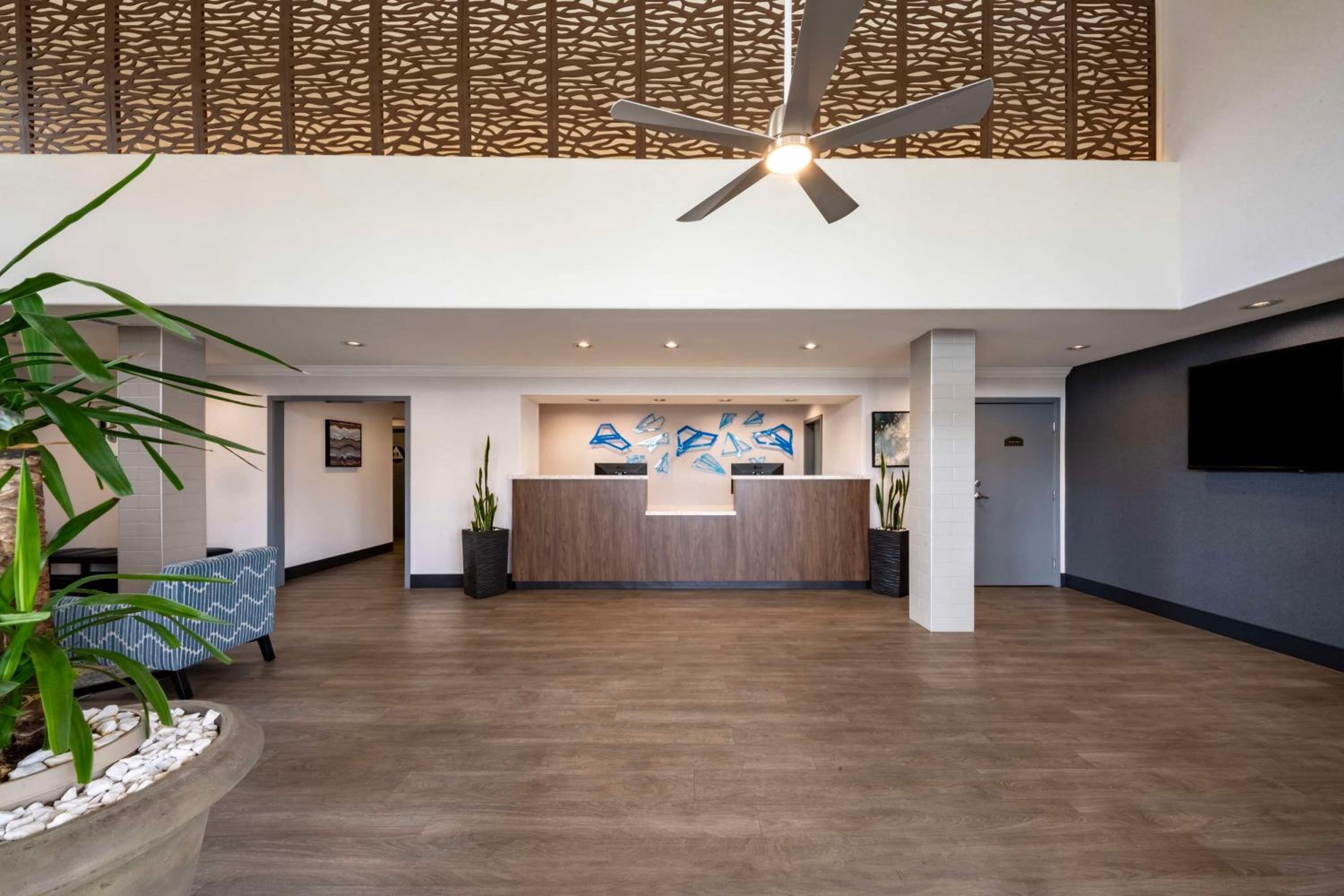 recepcion & lobby