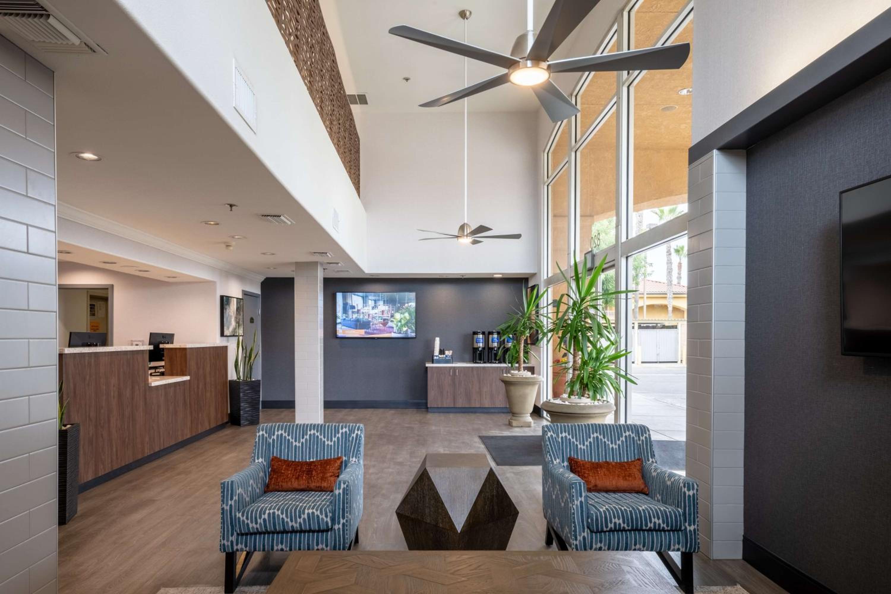 recepcion & lobby
