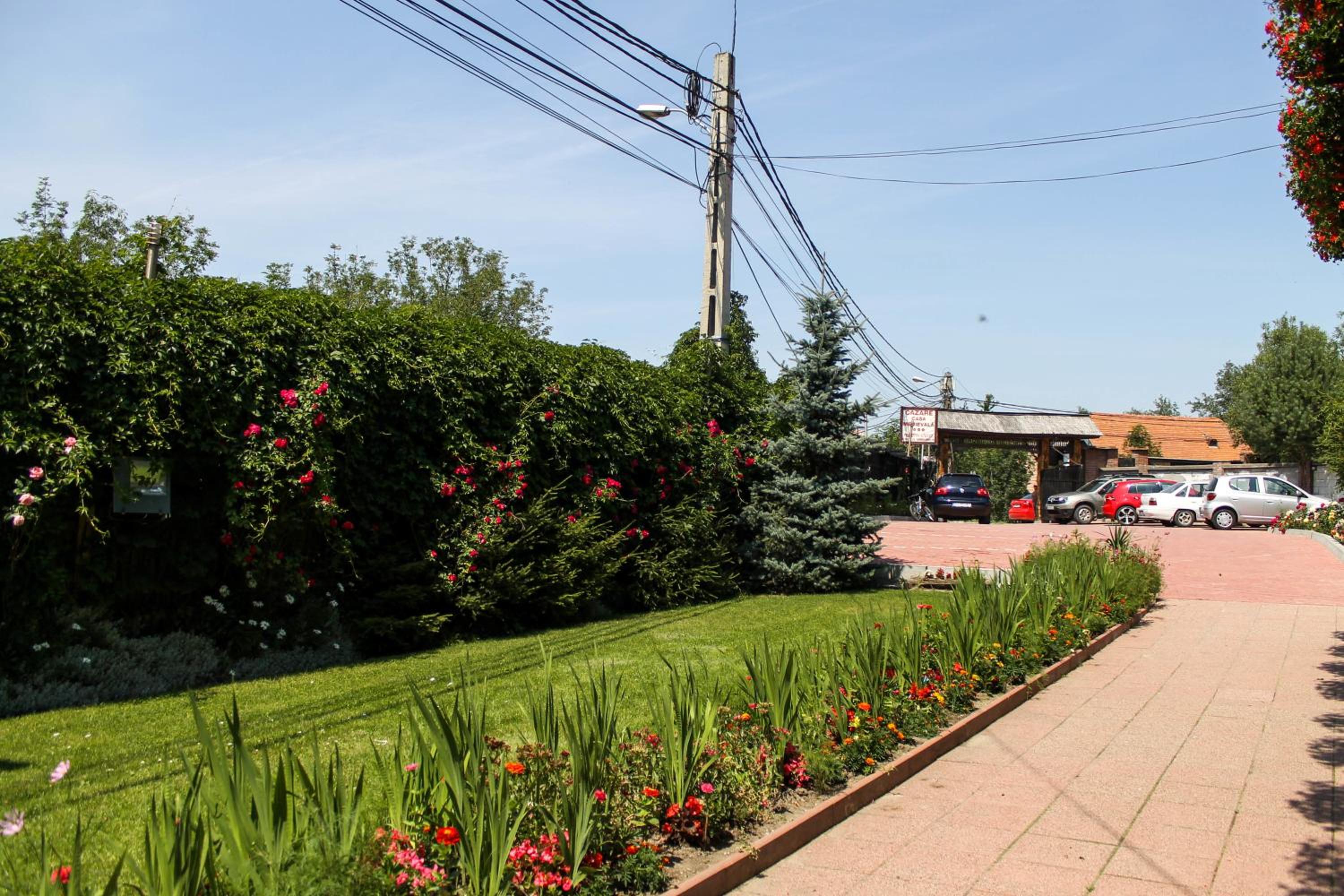 Photo 47