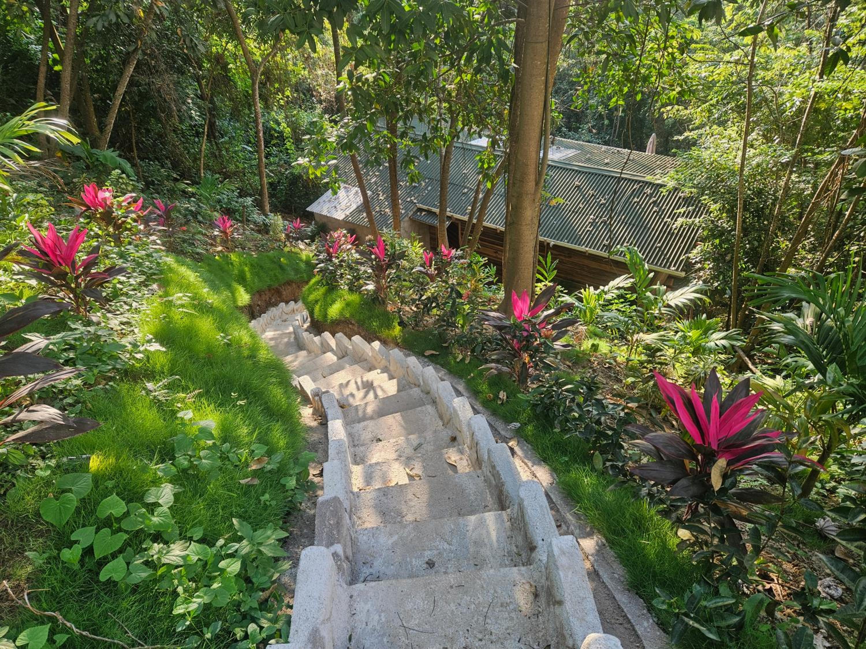 La Casa Del Mono