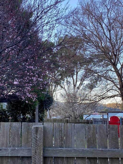 Charming Mid Century Bungalow- Entire home