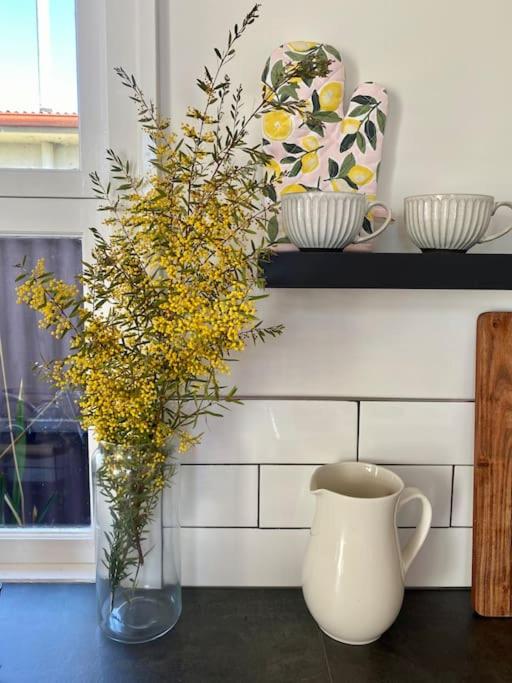 Charming Mid Century Bungalow- Entire home