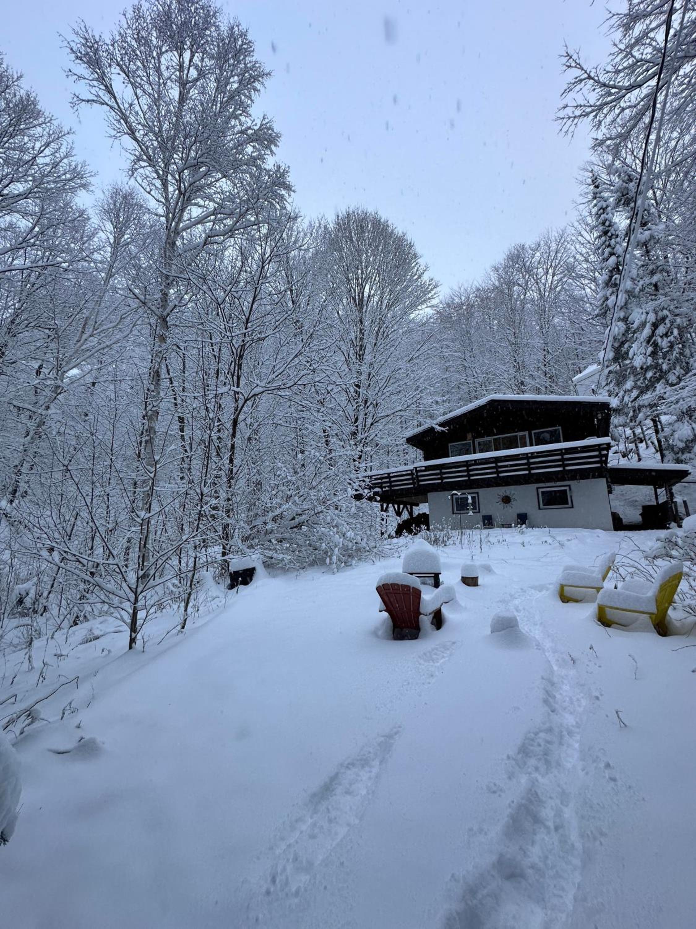 Chalet dans les arbres. 3 ch. /trees house 3bdr
