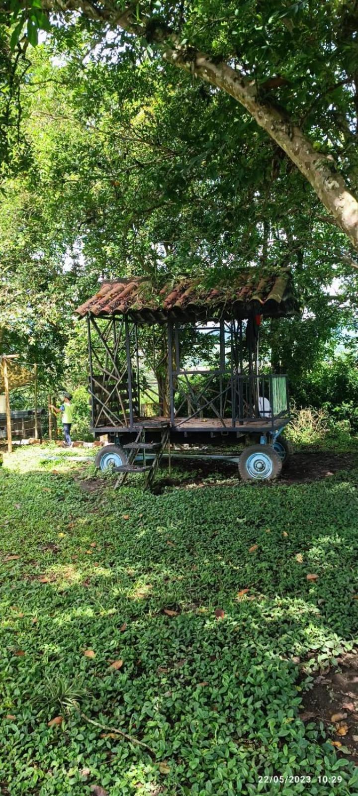 Finca Maratón Alto