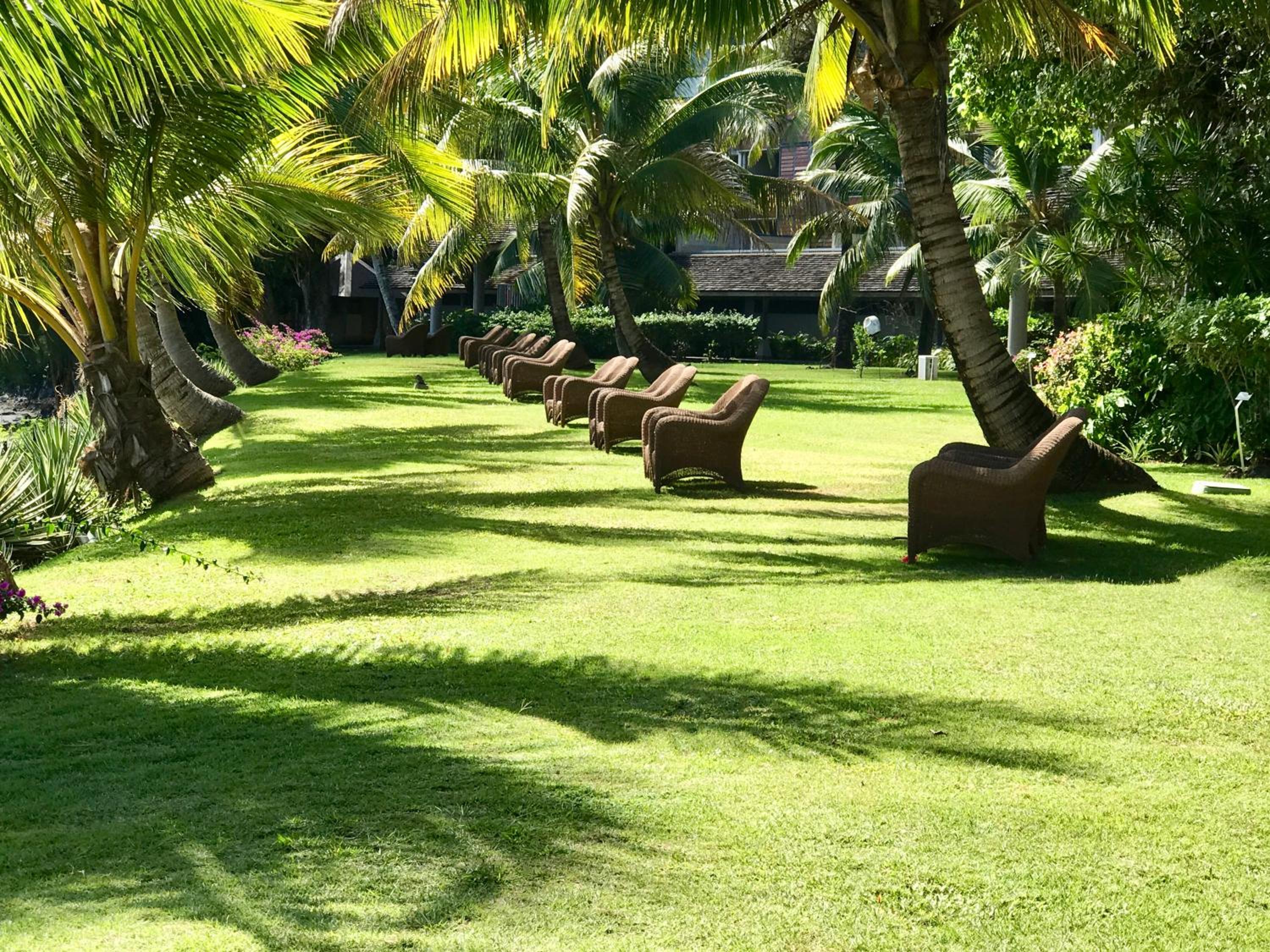 Iaorana Tahiti