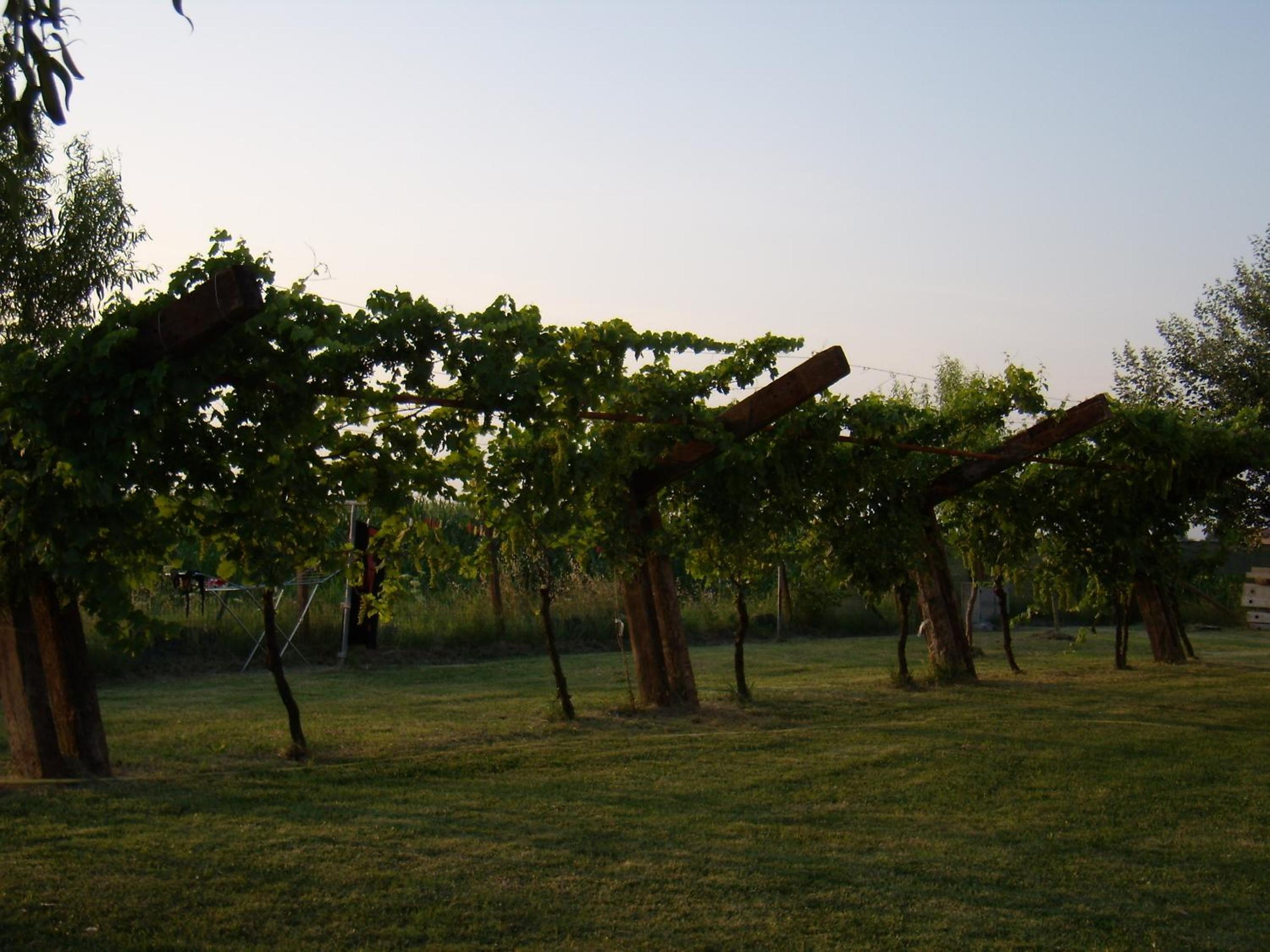 Antico Casale dei Sogni agriturismo