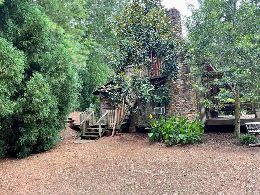 Rustic Waterfront Cabin view 3