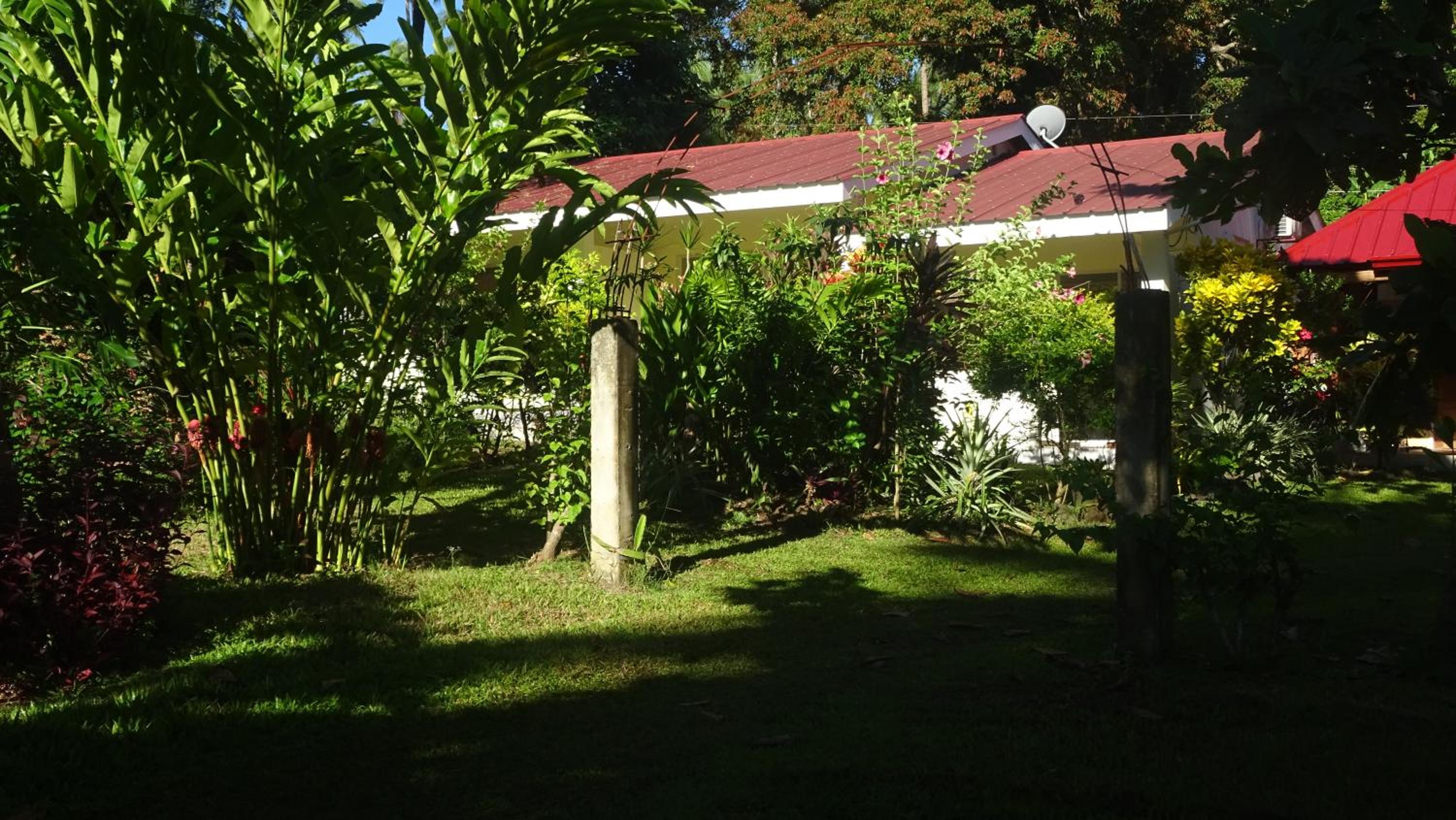 Photo 45