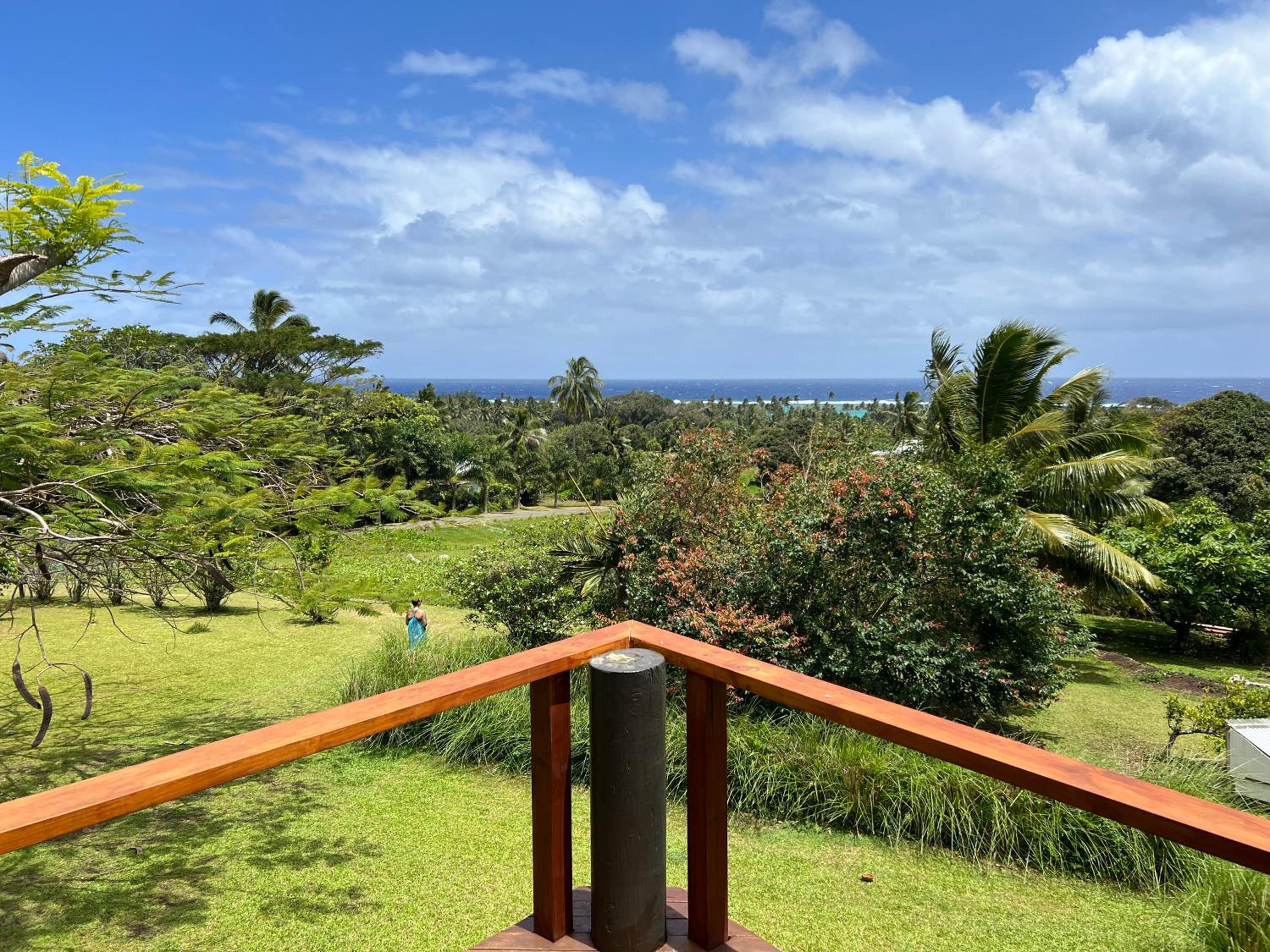 Avocado Retreat