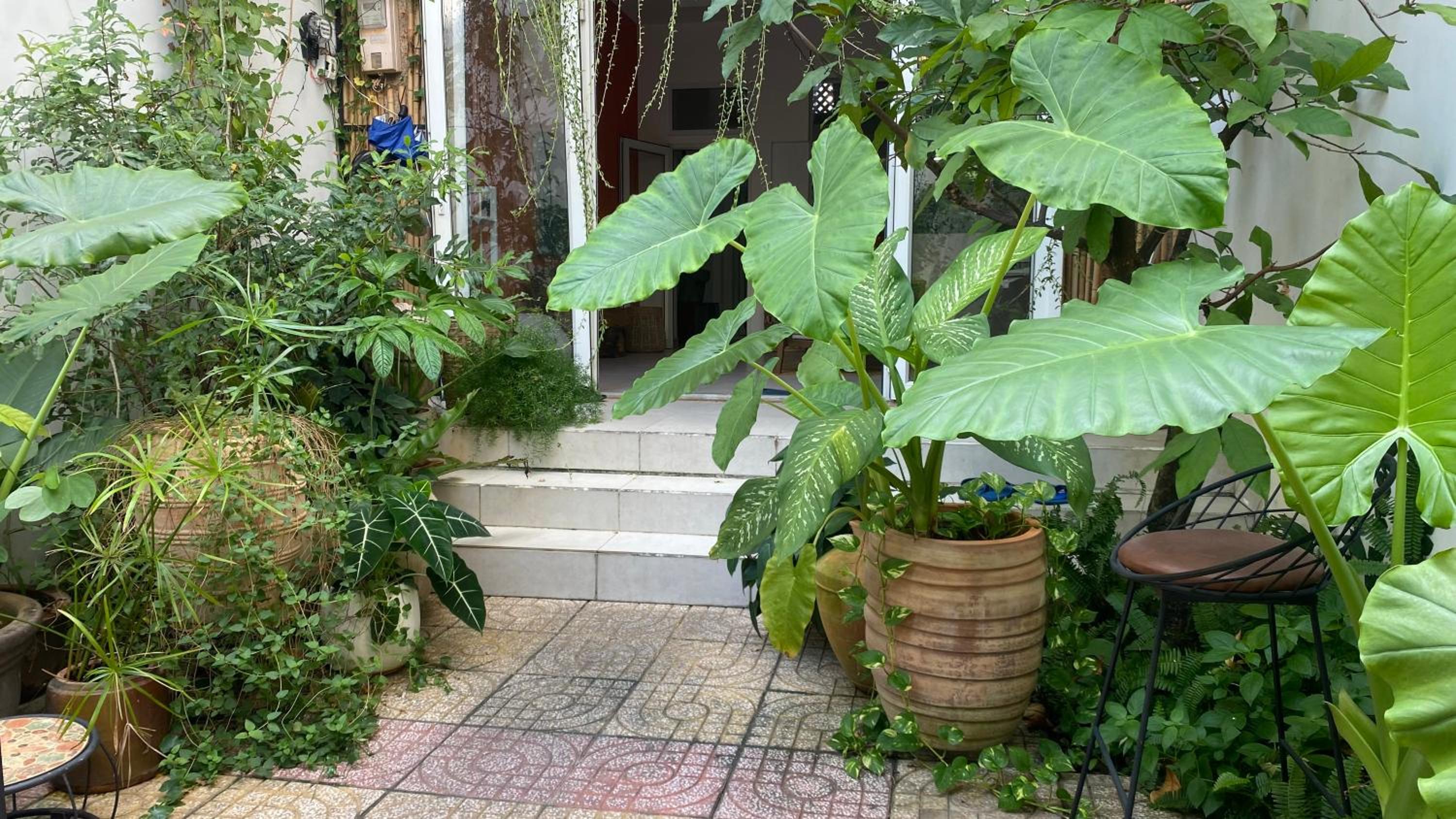 Notre Maison 5 Saigon close Walking street in Thao Dien D2