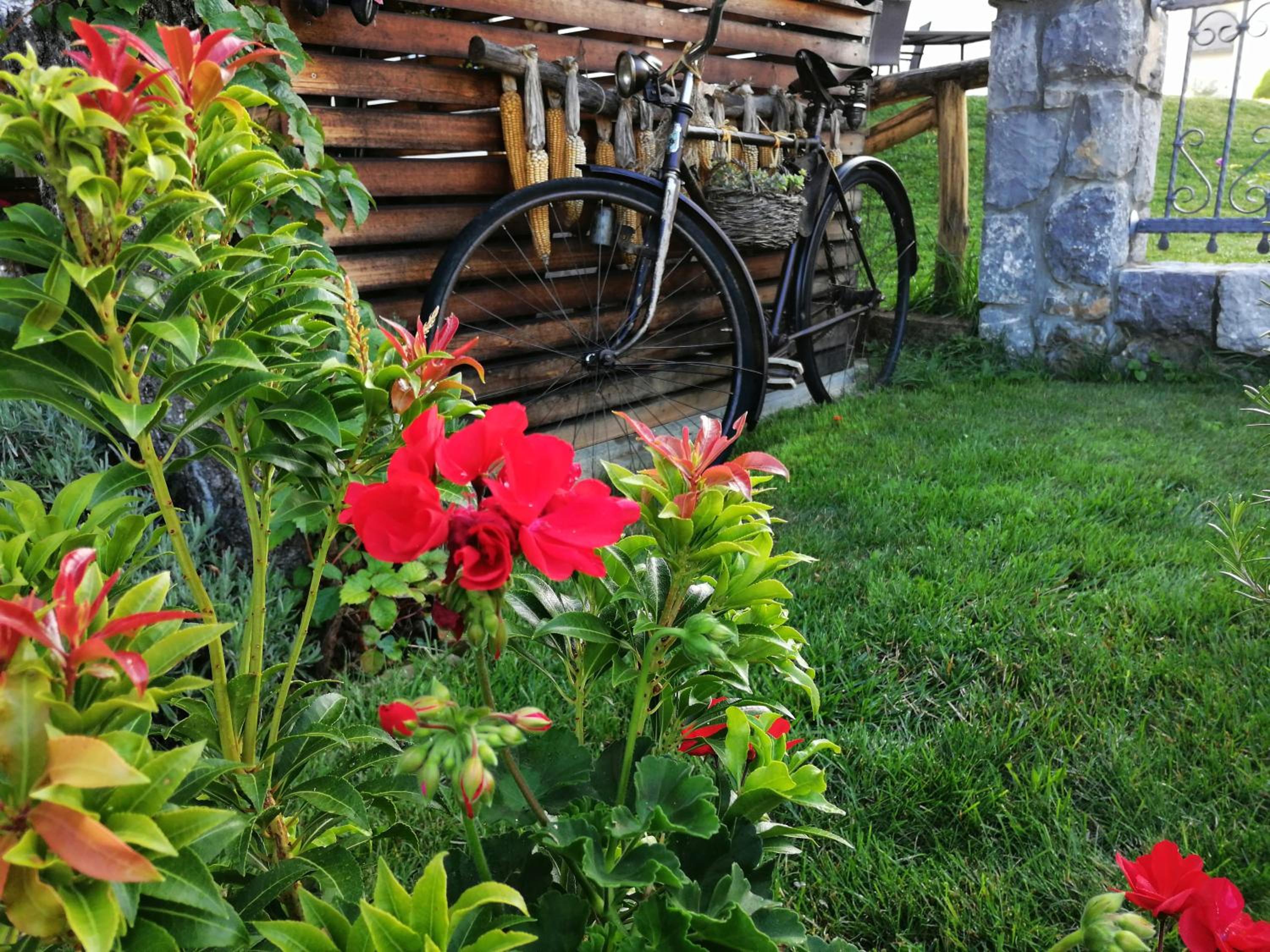 Photo 11