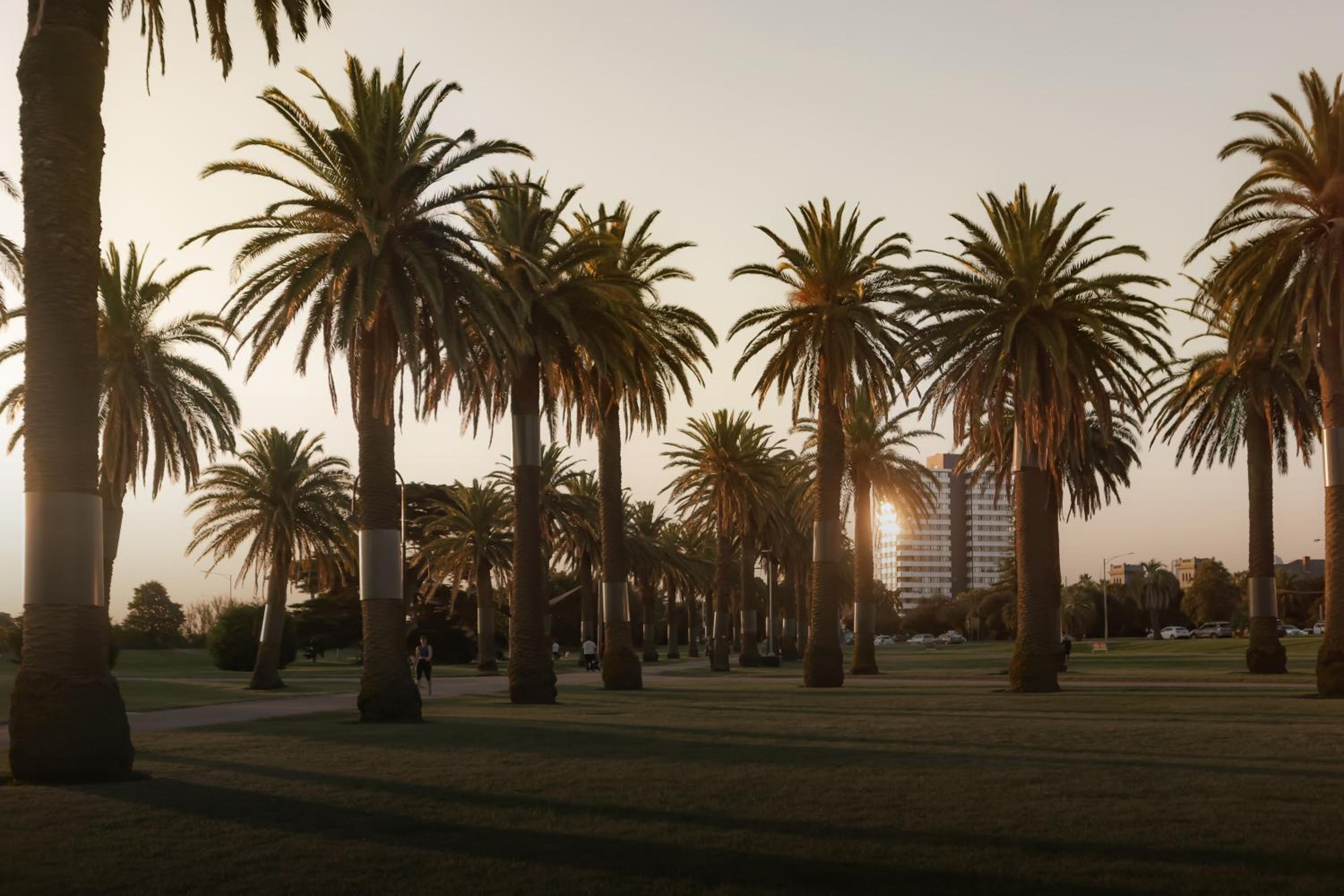 MAC St Kilda Blessington St by Melbourne Apartment Collection