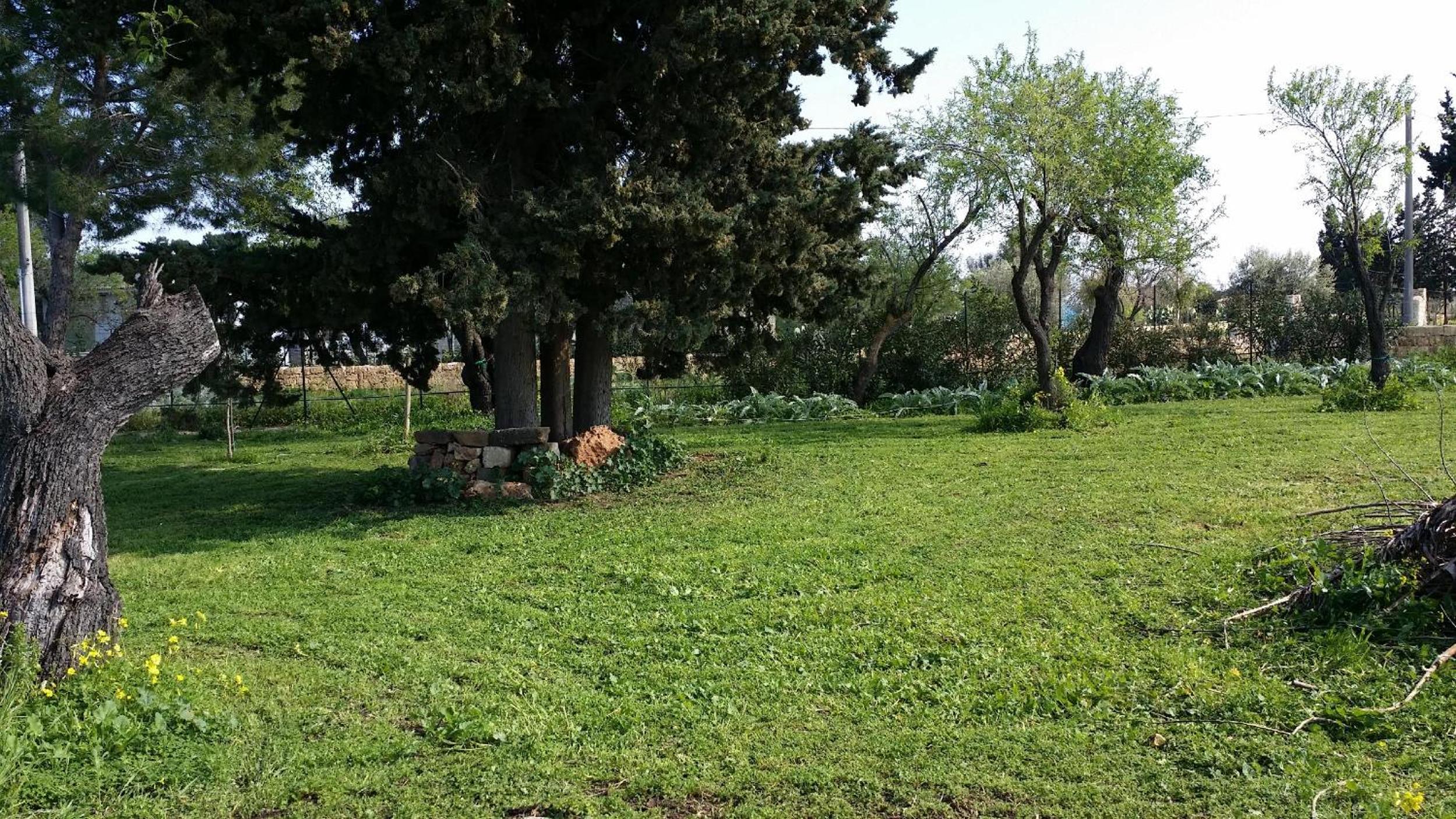Photo 57