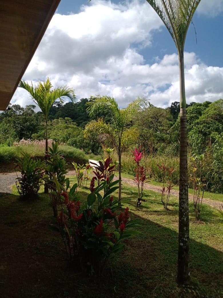 Vulkan Arenal Amazing View Lodge 4 WD