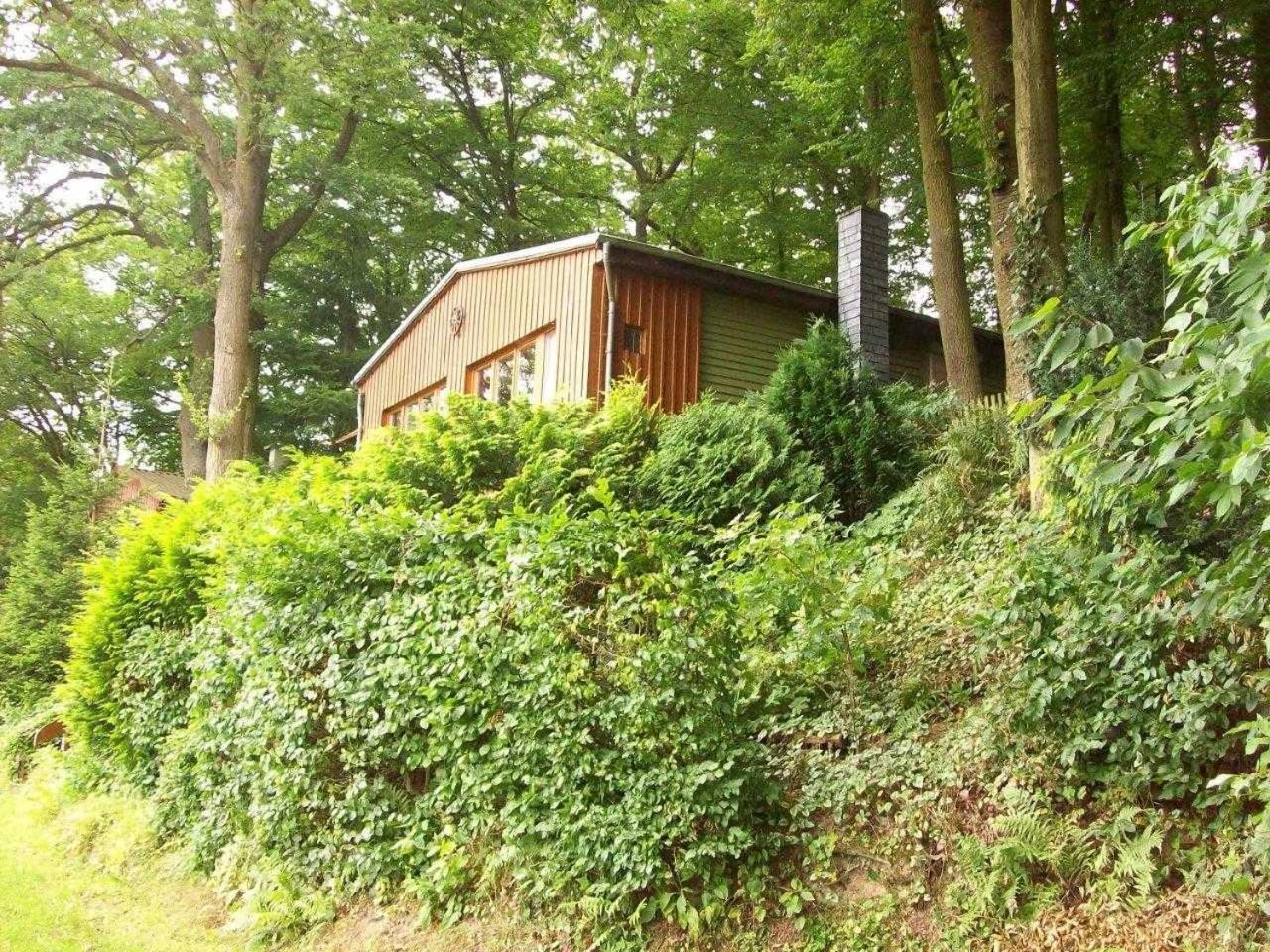 Bauernhofpension Büchsenschütz