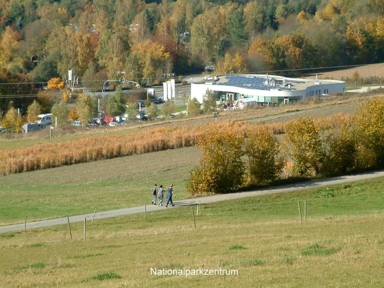 Ferienwohnung Hamel