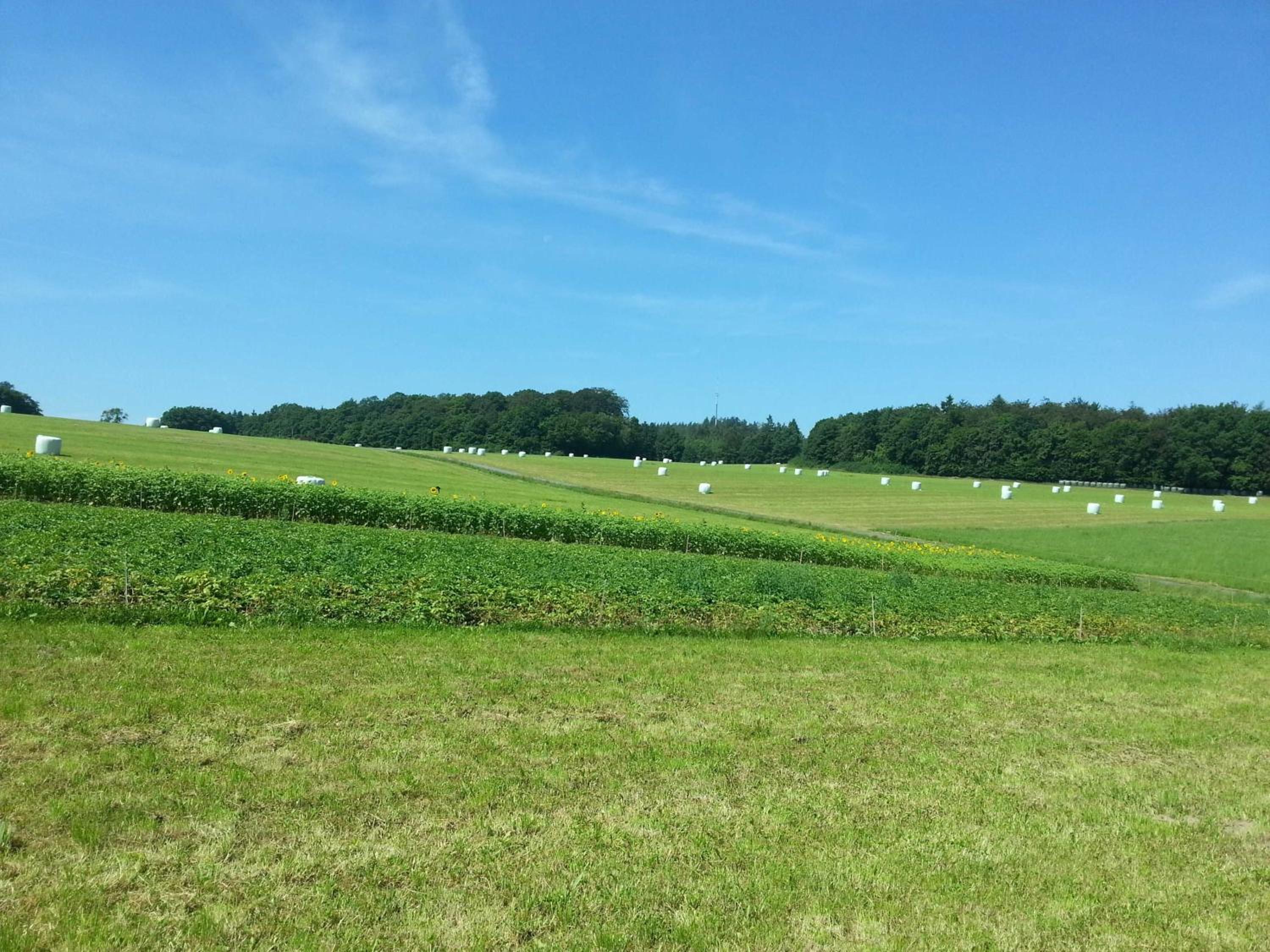Steirer-Hof