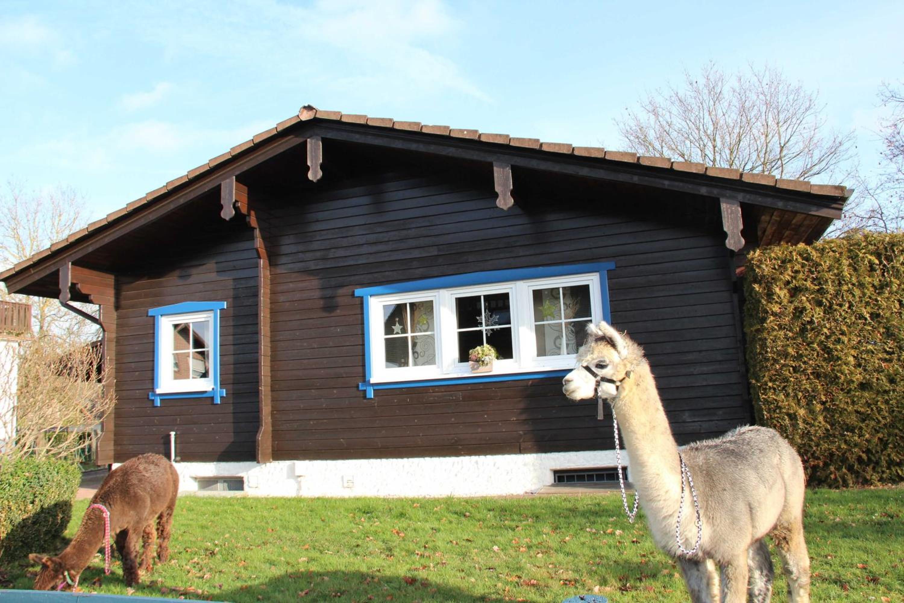 Blockhaus am Edersee