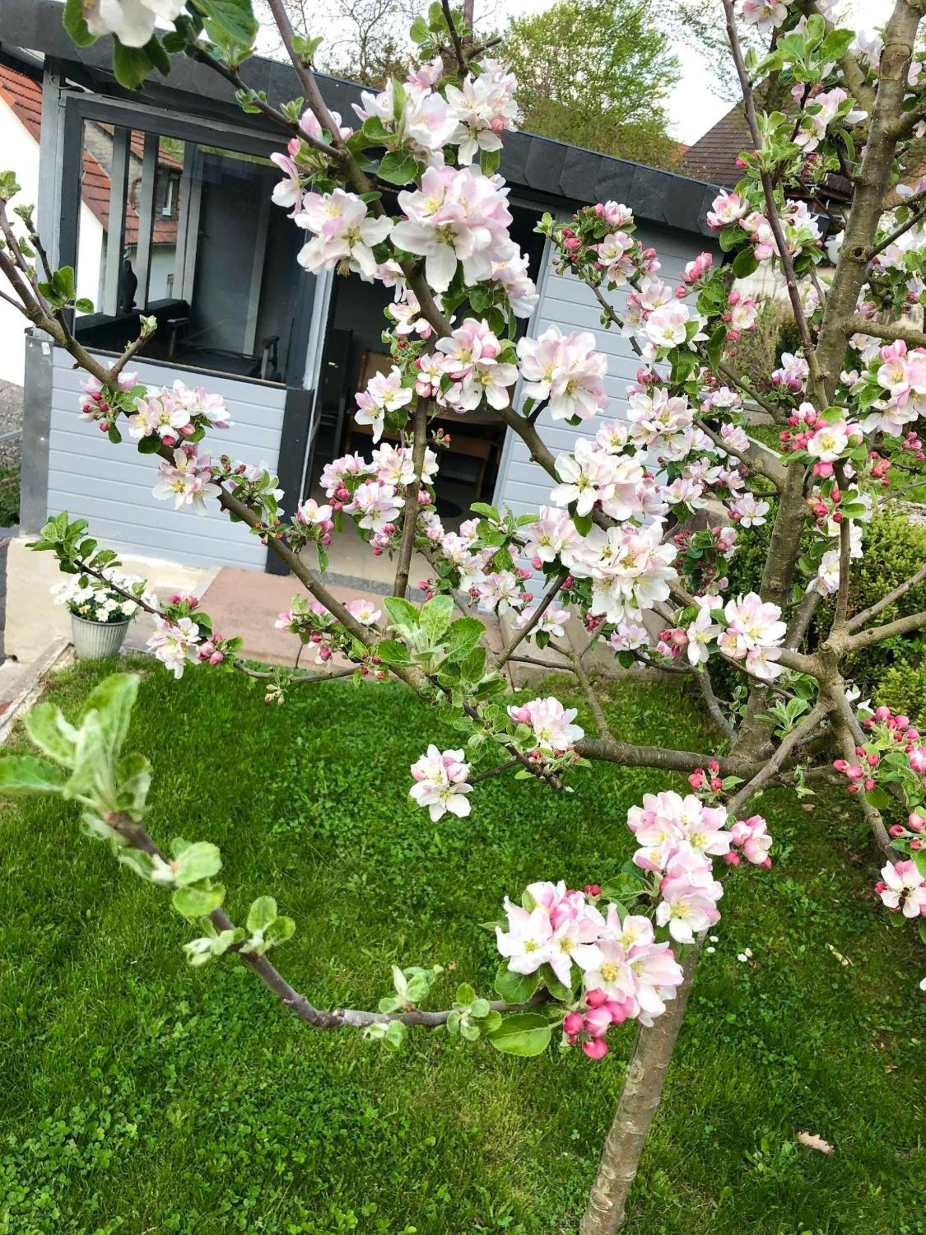 Ferienwohnung Seerose