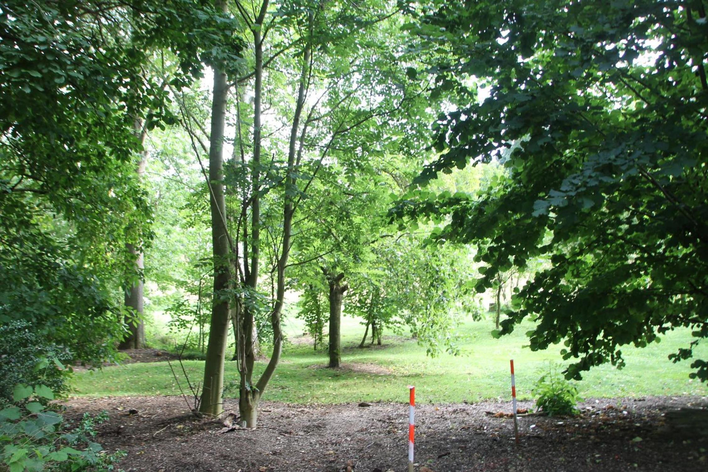Ferienwohnung Mühlradblick