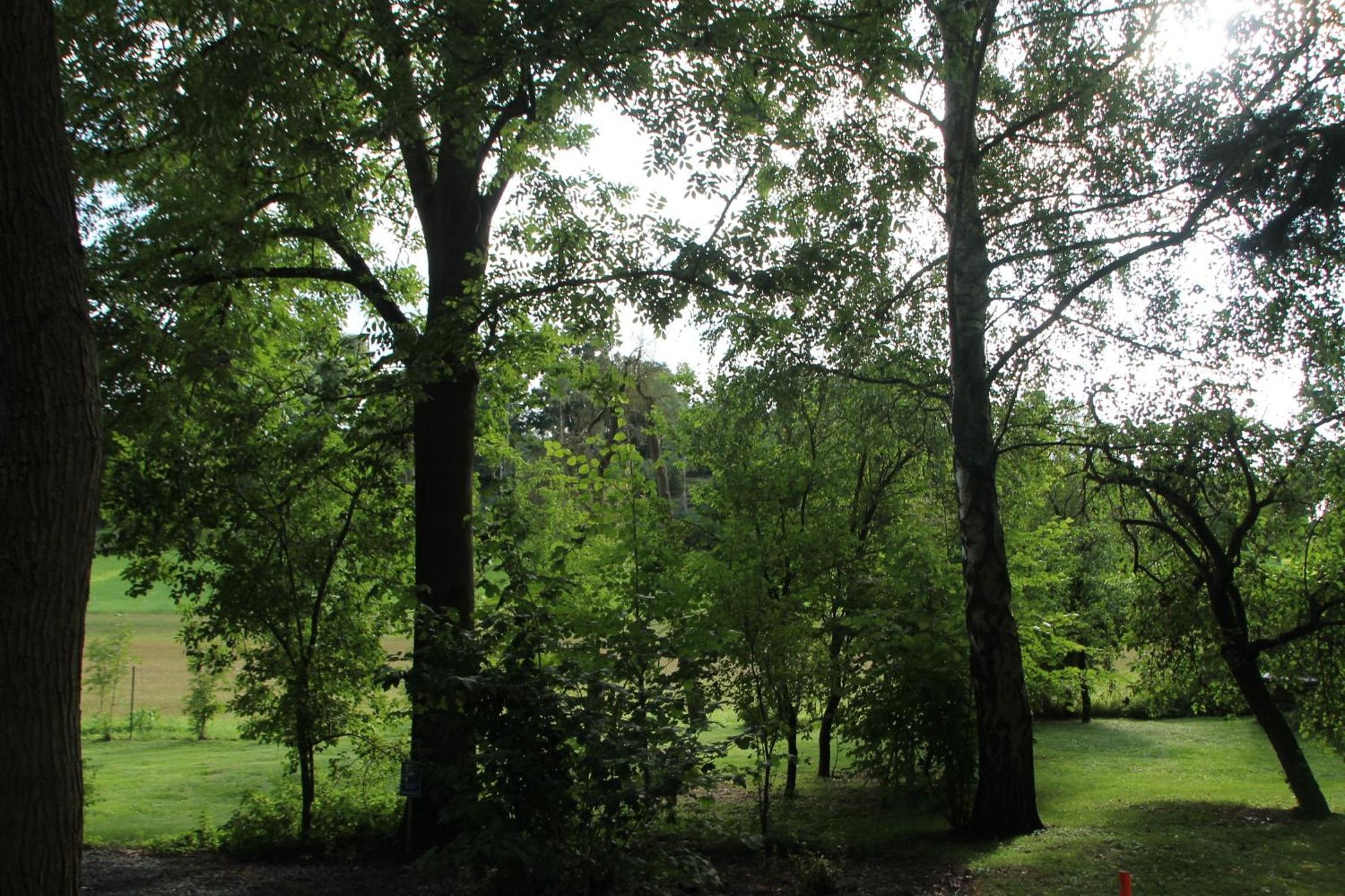 Ferienwohnung Mühlradblick