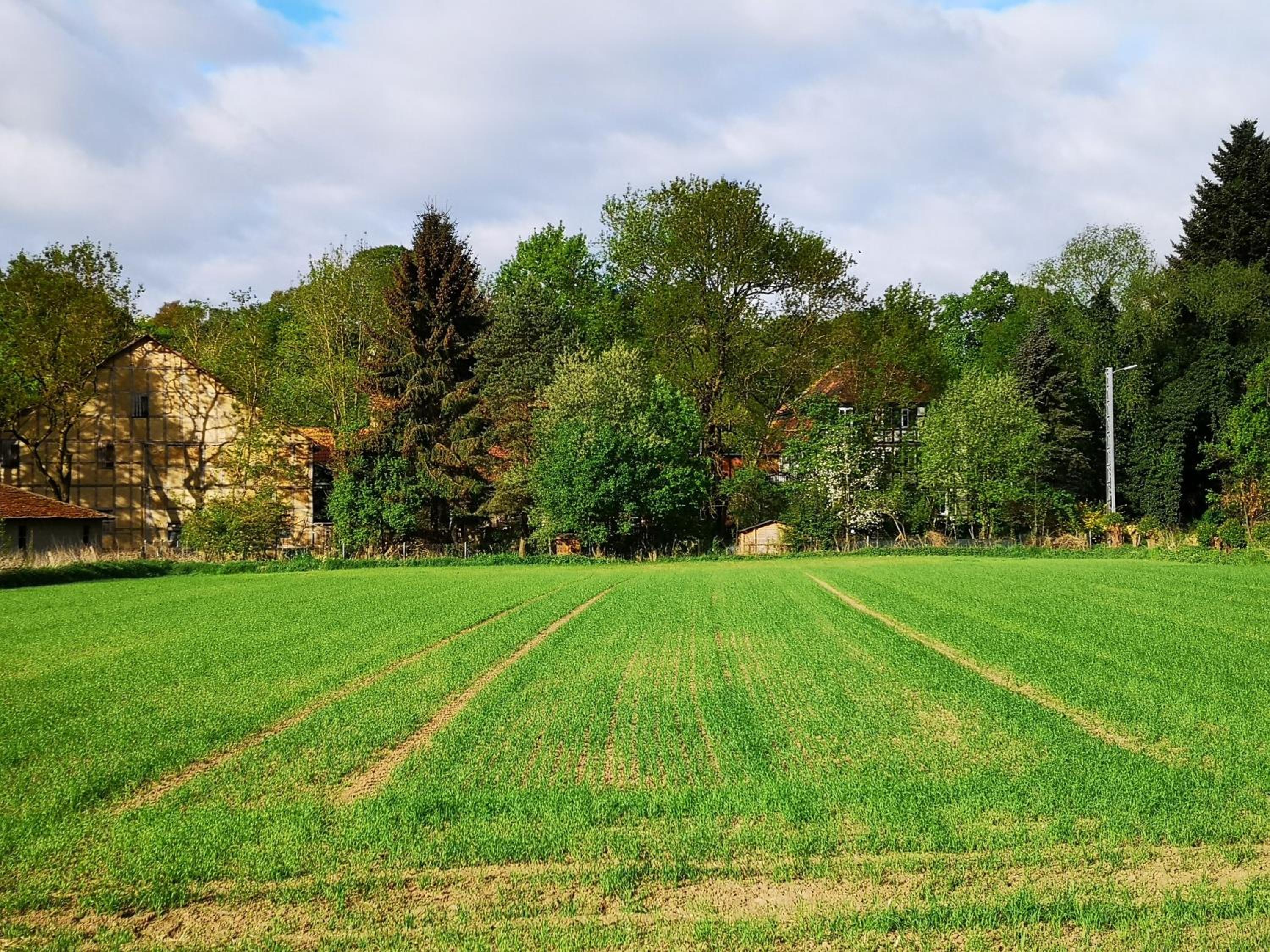Ferienwohnung Mühlradblick