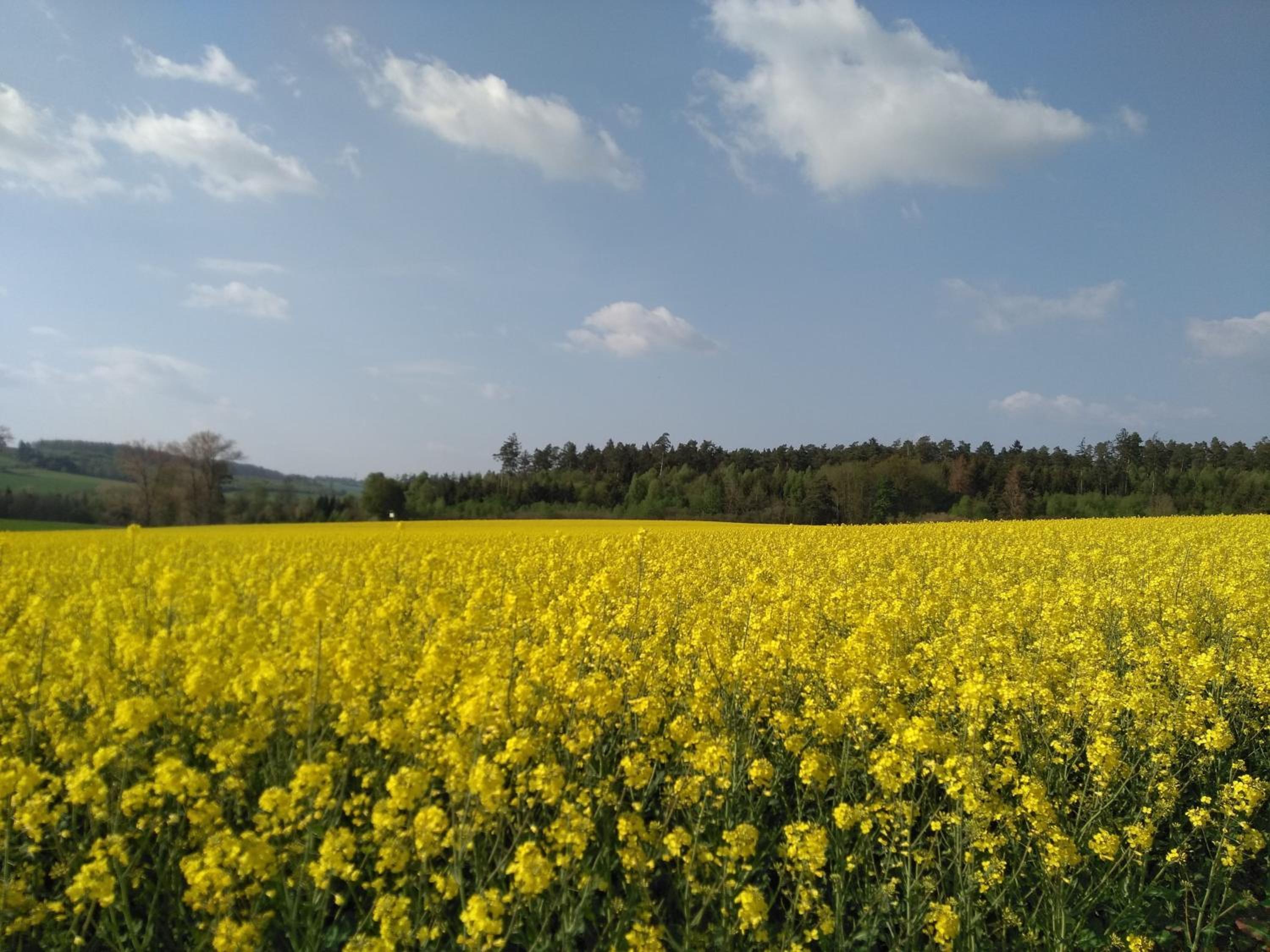 Ferienwohnung Auszeit am Edersee