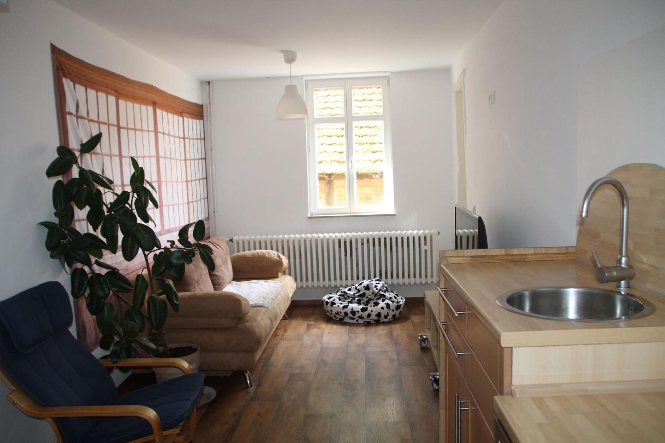Ferienwohnung Mühlradblick