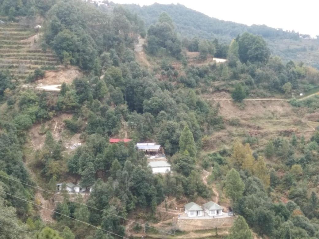Saanidhya Mountain Camps - Himalayan Trails with Star Gazing and Bird Watching in Mukhteshwar