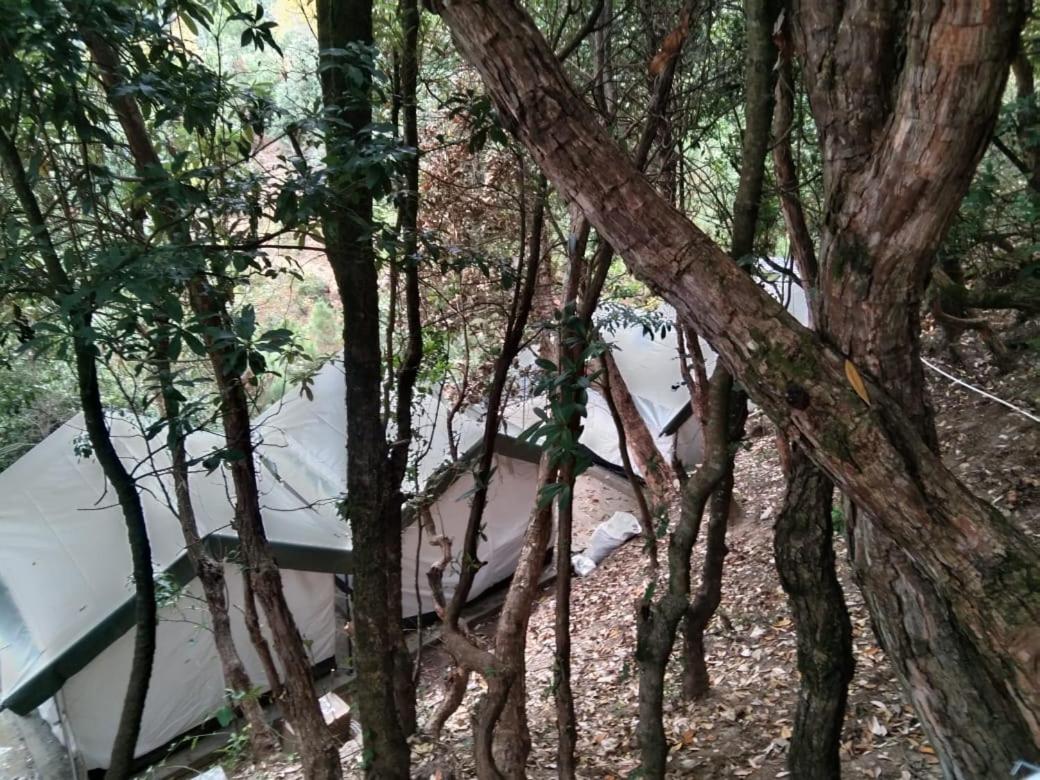 Saanidhya Mountain Camps - Himalayan Trails with Star Gazing and Bird Watching in Mukhteshwar