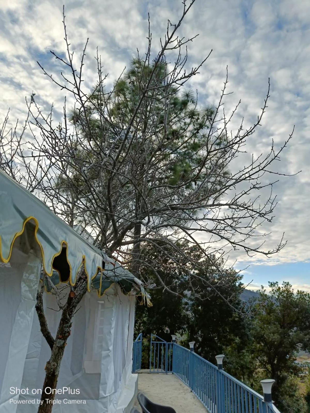 Saanidhya Mountain Camps - Himalayan Trails with Star Gazing and Bird Watching in Mukhteshwar
