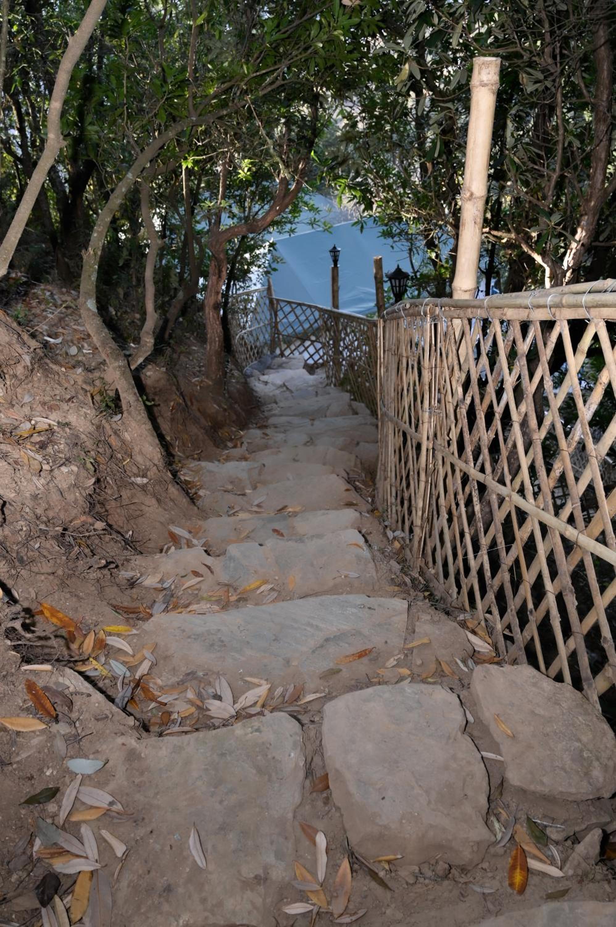 Saanidhya Mountain Camps - Himalayan Trails with Star Gazing and Bird Watching in Mukhteshwar