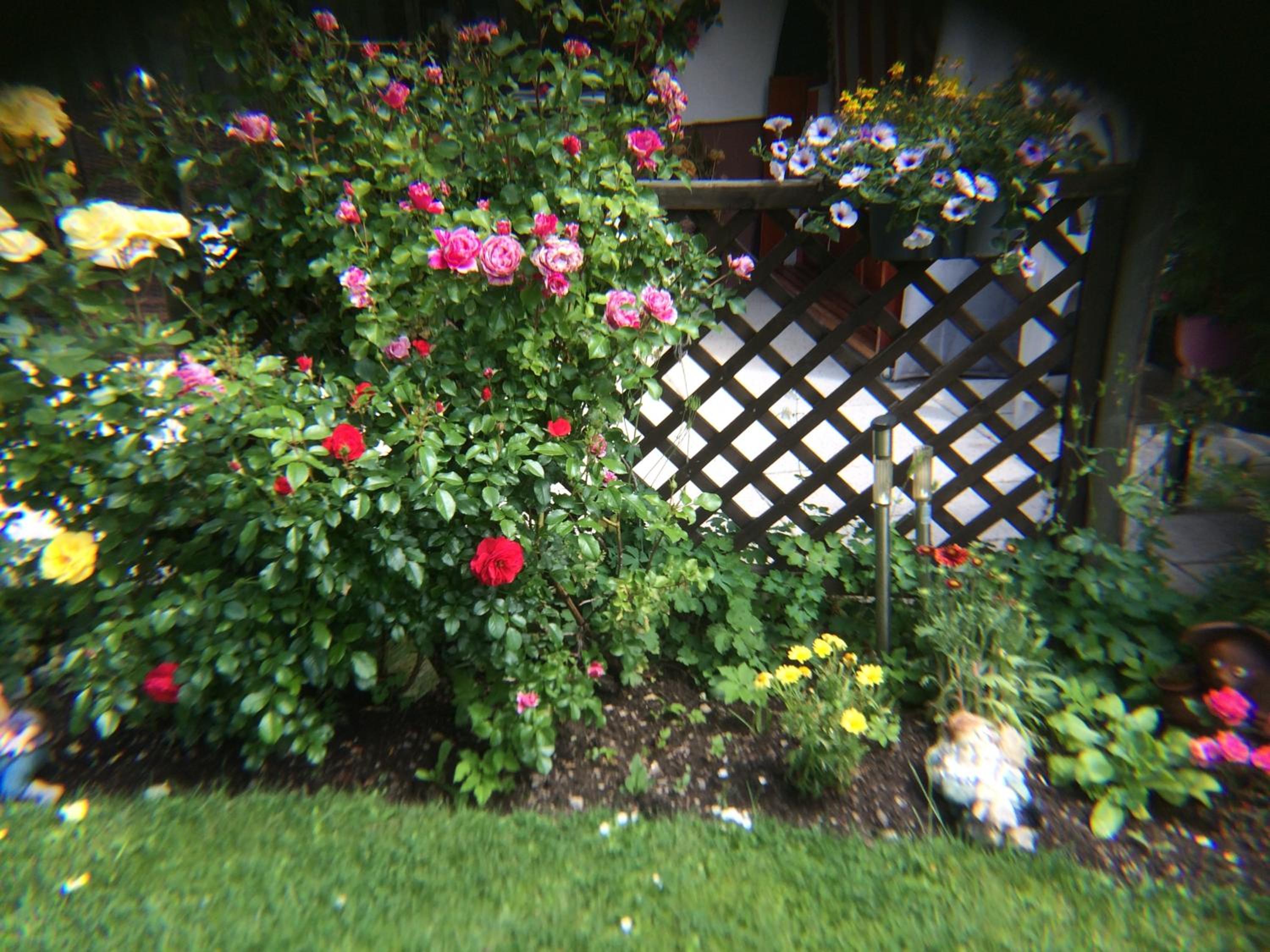 Photo 34
