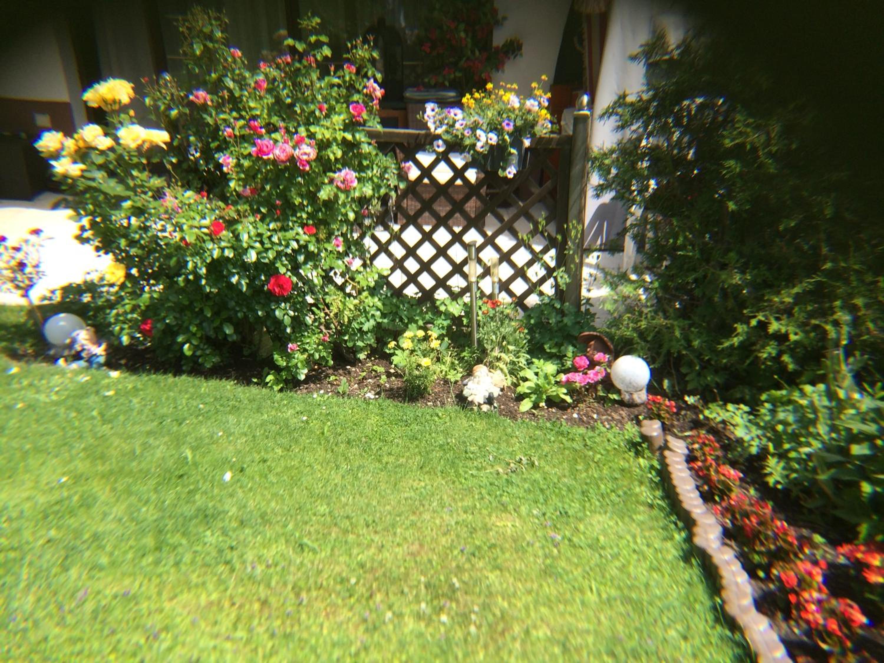 Photo 35