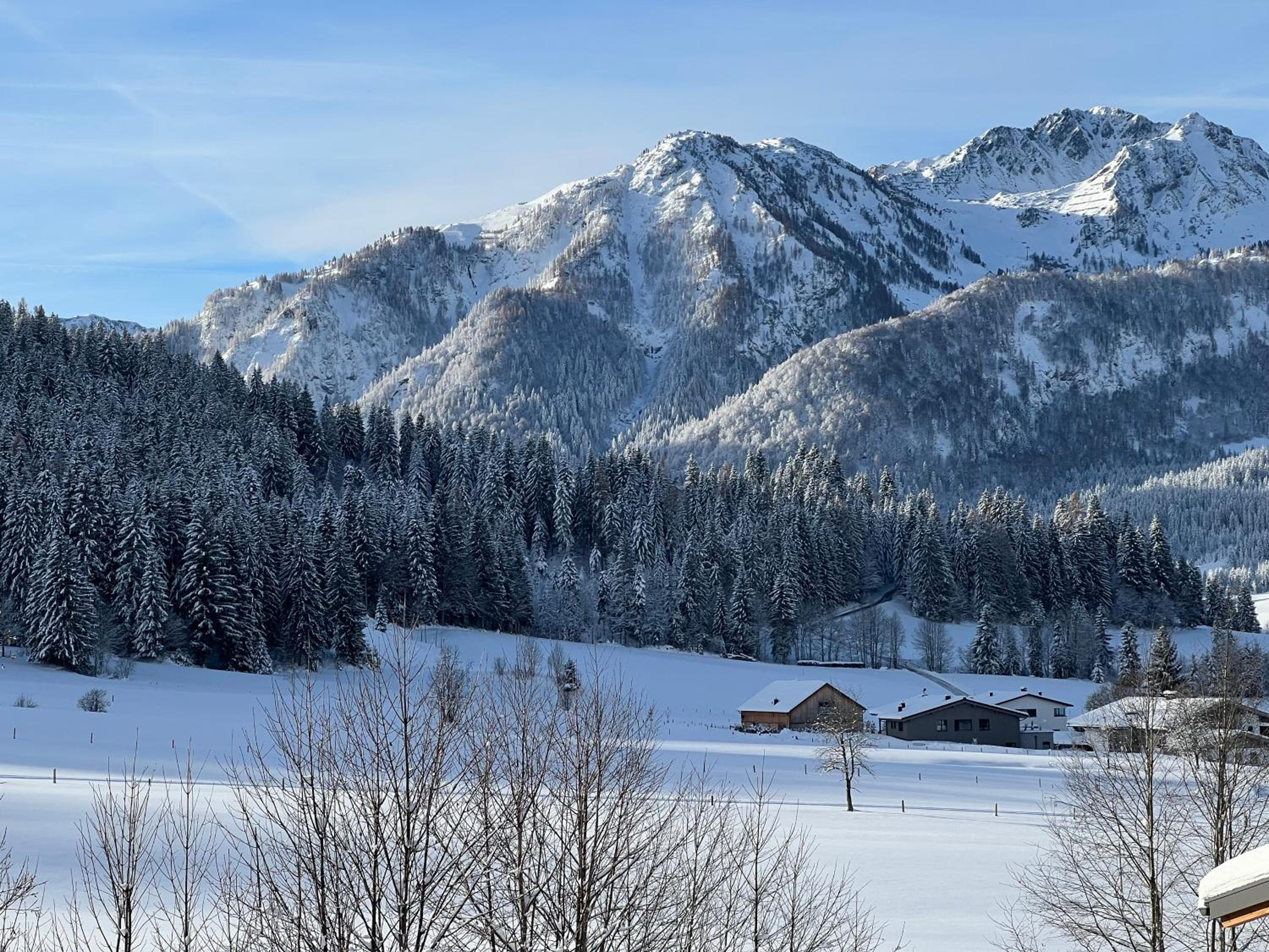 Chalet Panoramablick