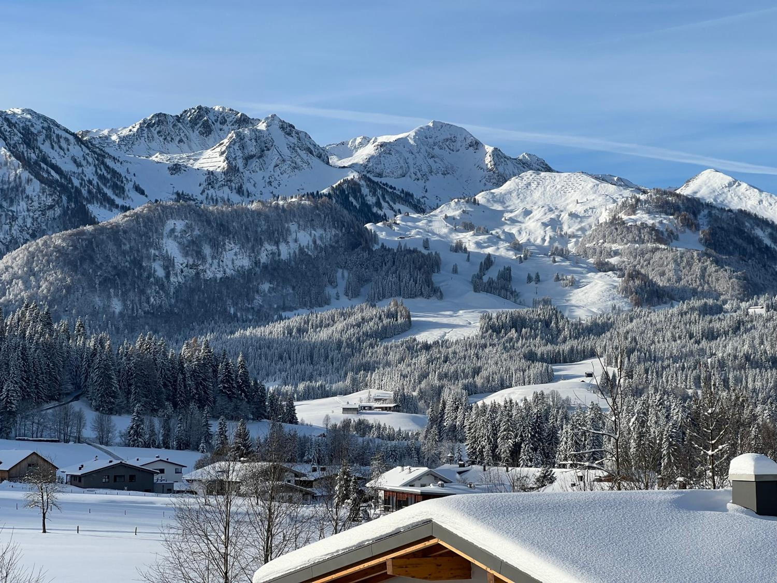 Chalet Panoramablick