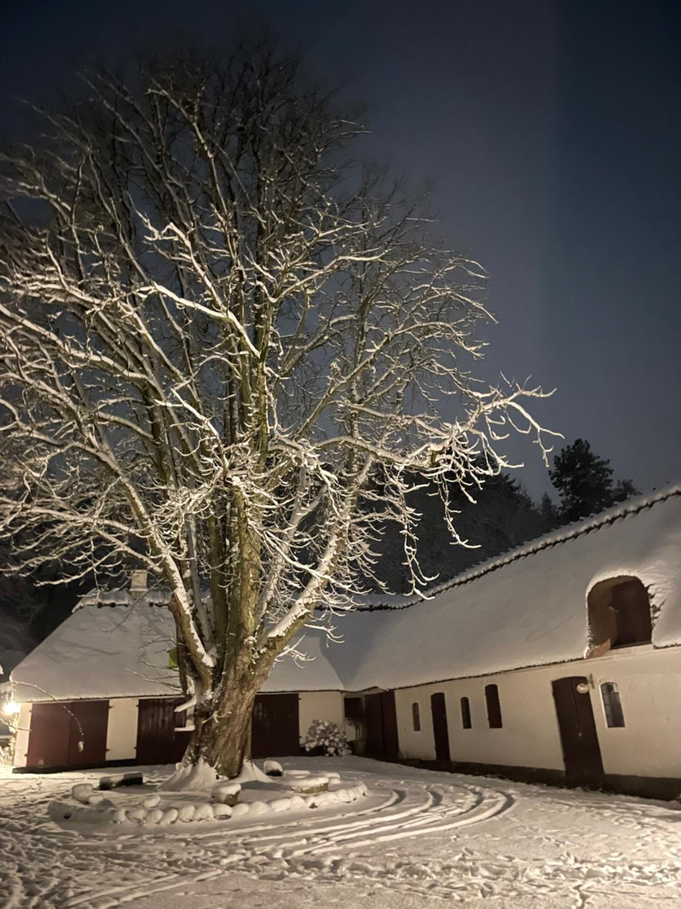 Lillemøllens bed & breakfast