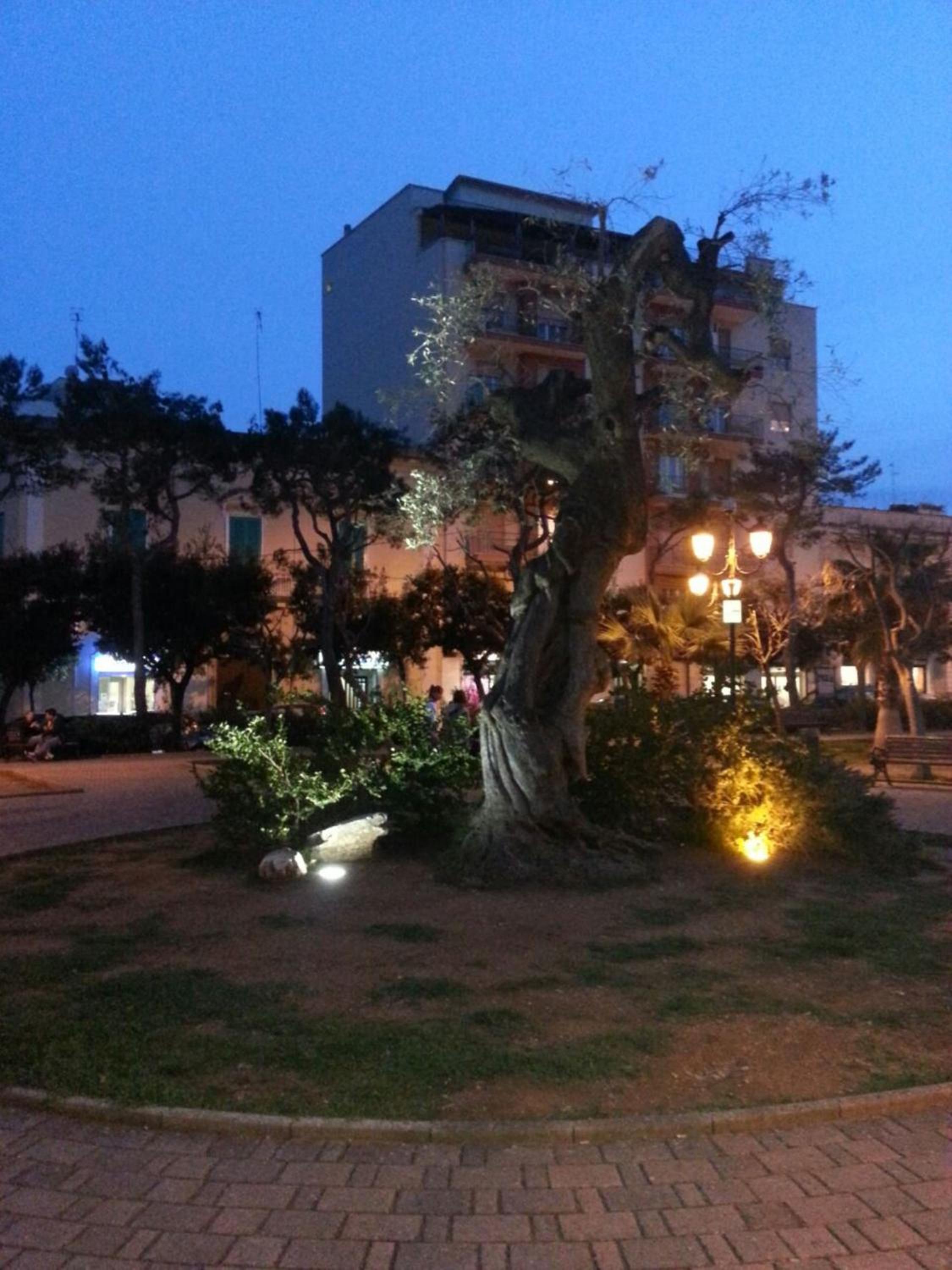 Guest House 38 Monopoli by JD Collection