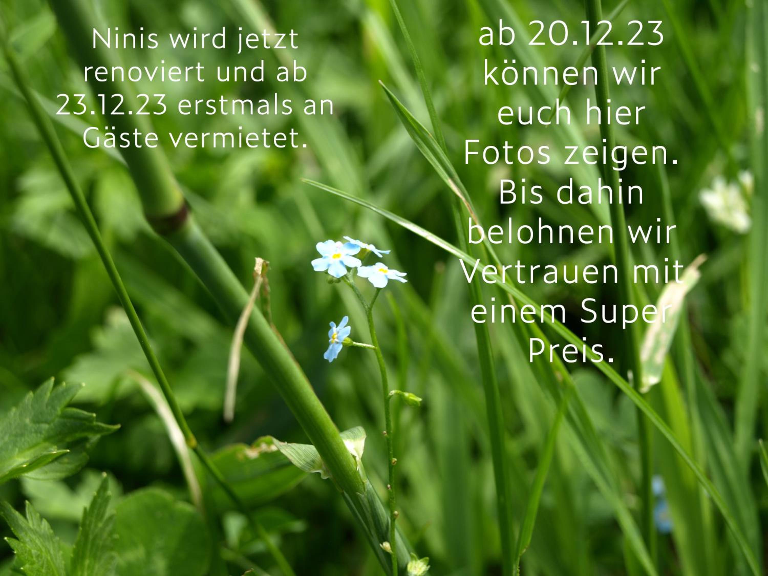 Ninis - Ferienhaus im Bregenzerwald