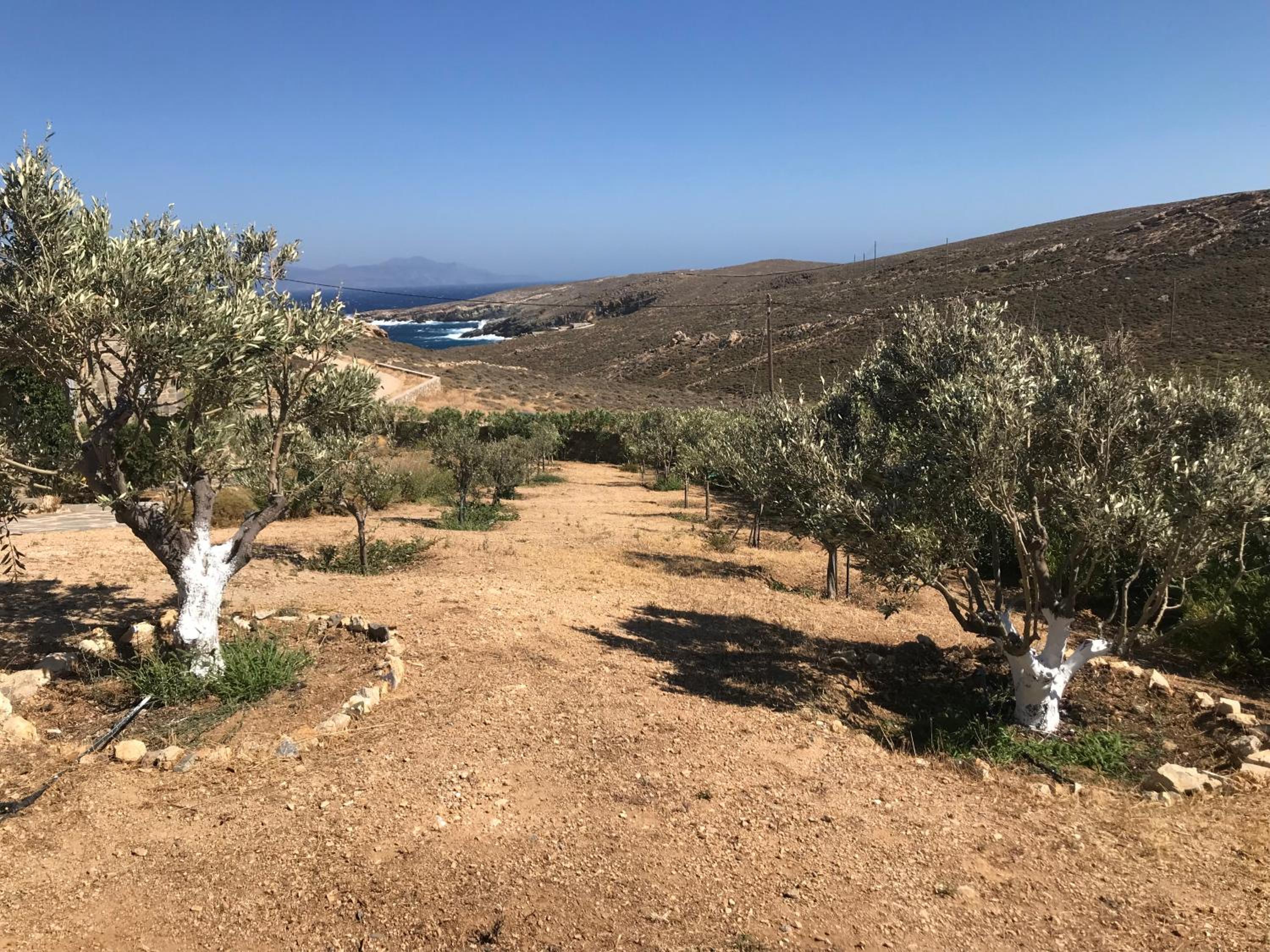 Traditional Cycladic Stone House view 5