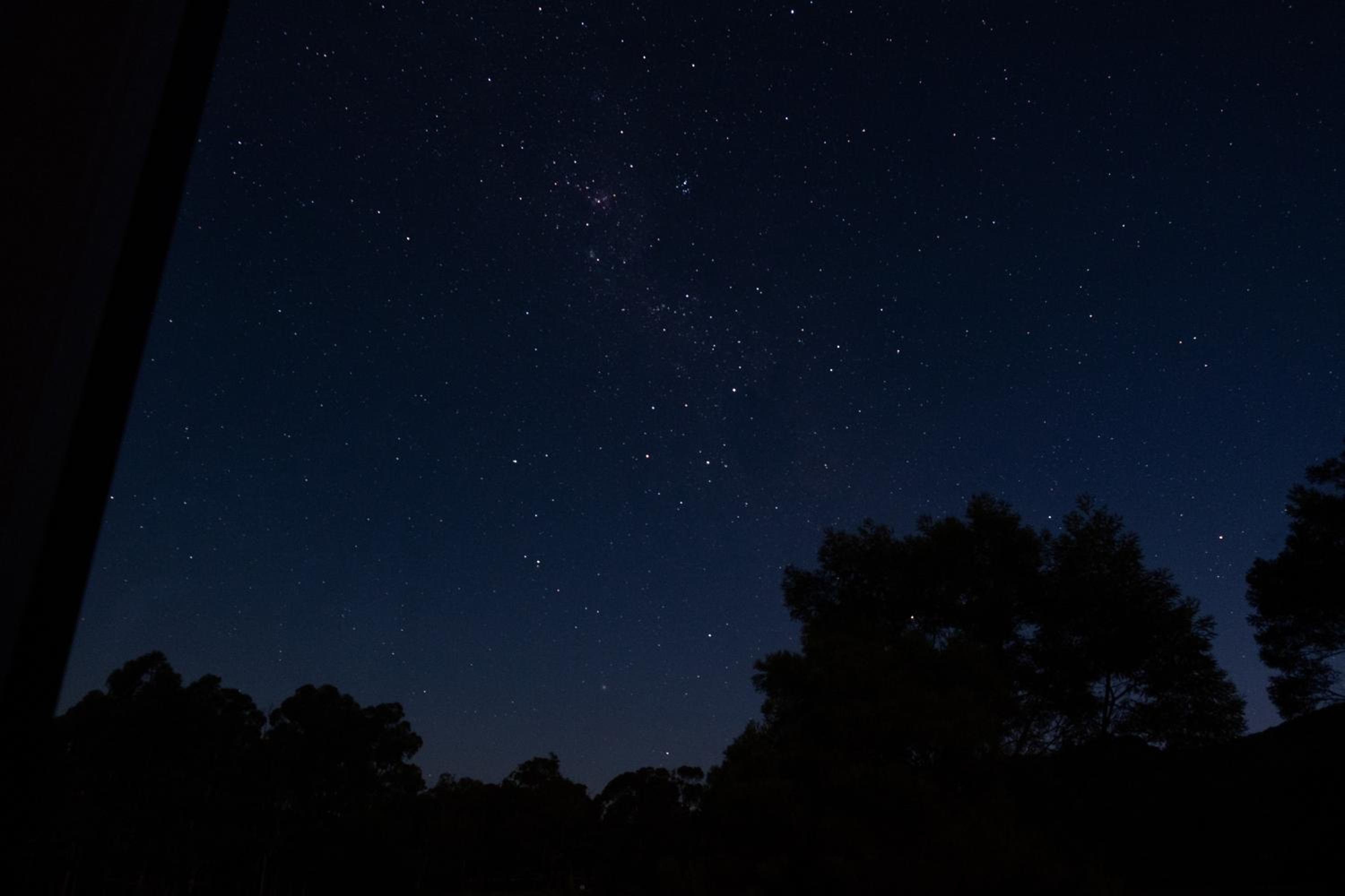 Wild Life Cabin 2 - Grampians